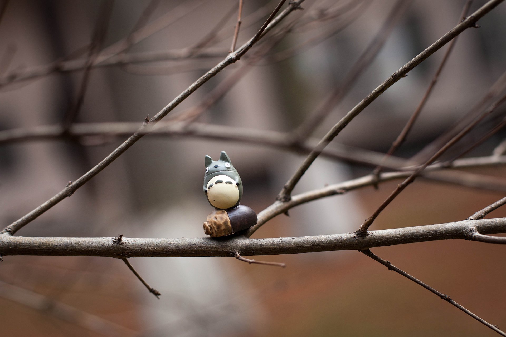 小清新,唯美,温暖,温馨一刻,静物写真,龙猫