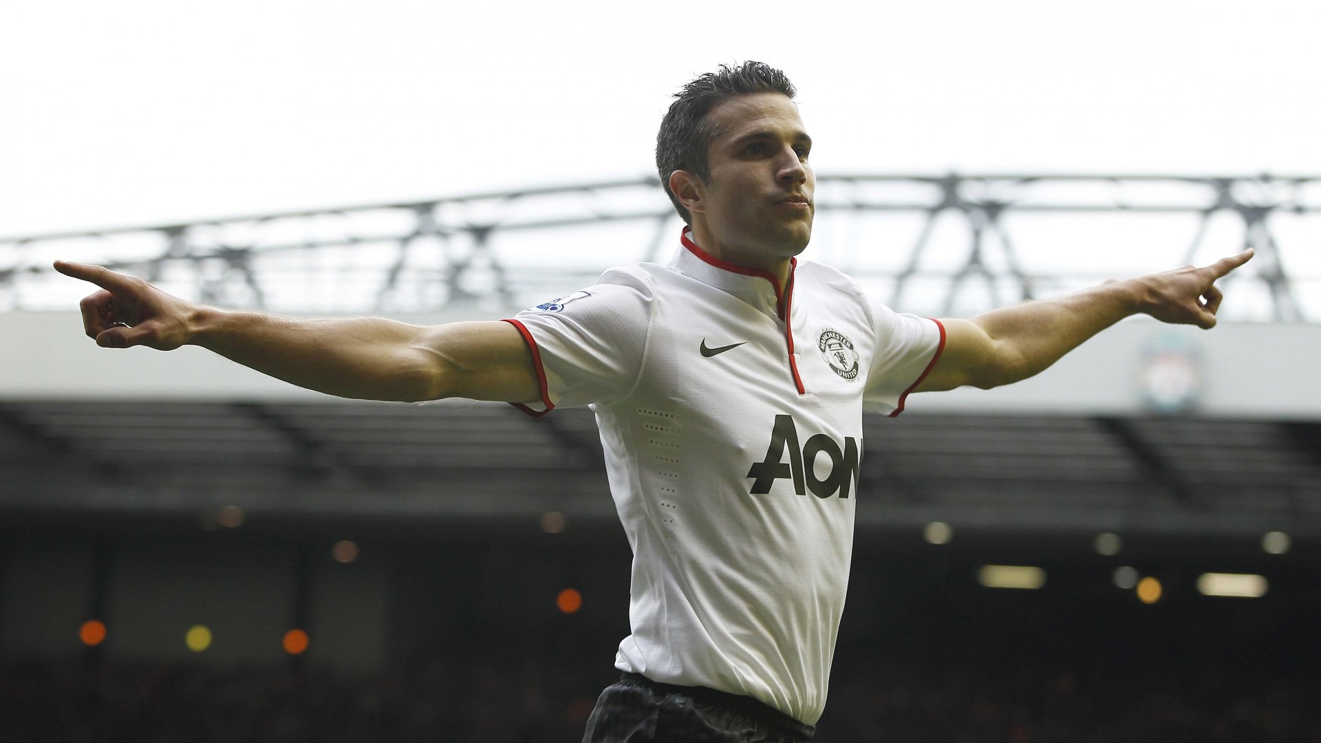 世界杯,体育,运动,巴西世界杯,帅哥,罗宾·范佩西