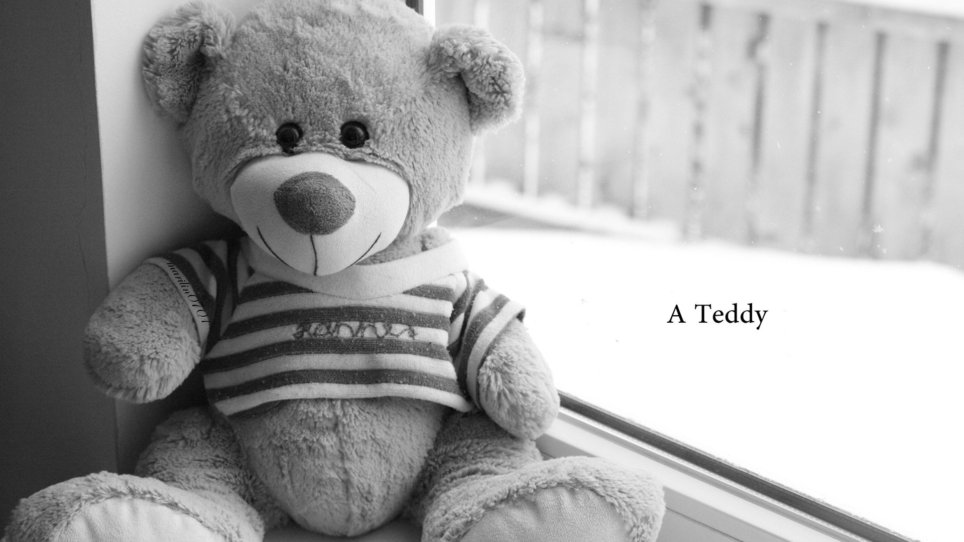 小清新,唯美,温暖,温馨一刻,静物写真