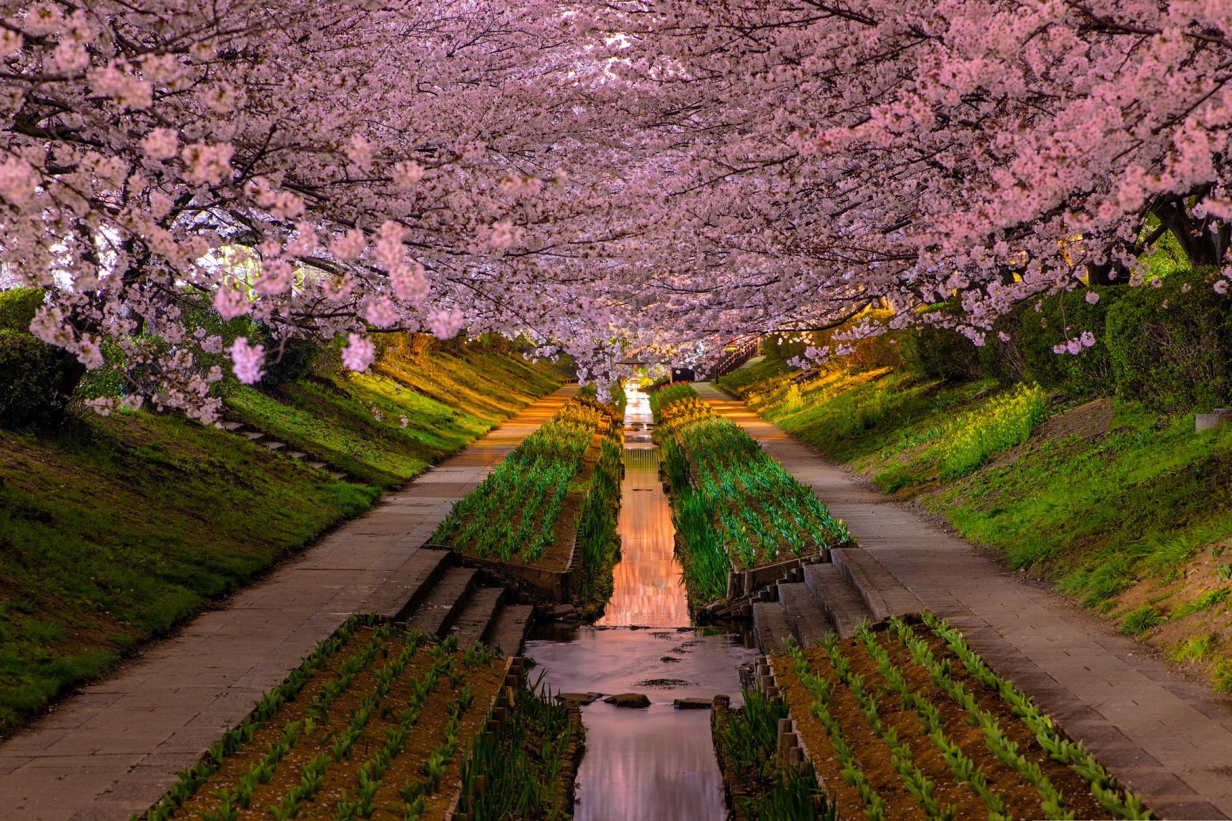 自然风光,绿色,清新,唯美,意境,炎炎夏日,旅游胜地,风景