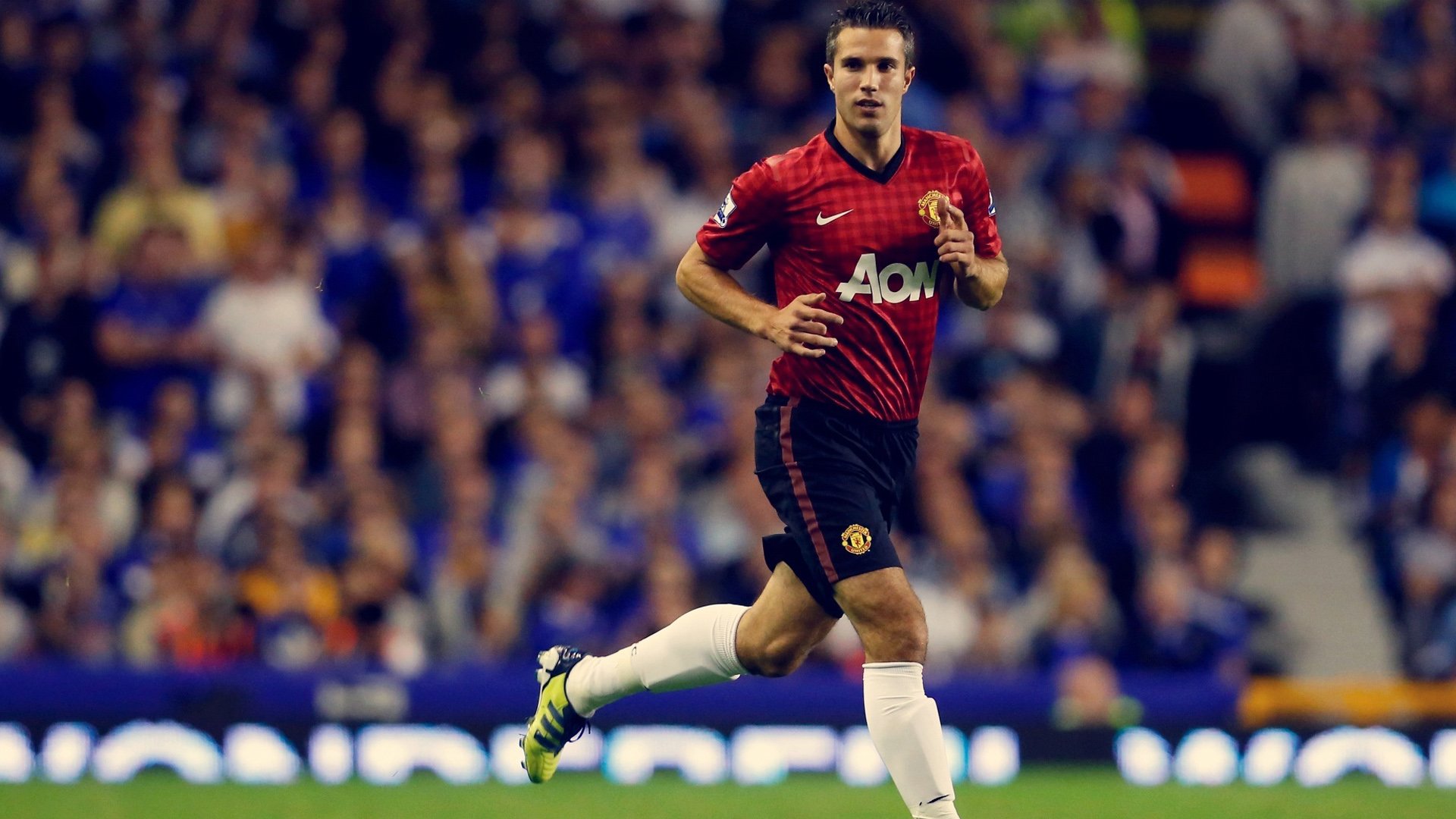 足球,运动,体育,比赛,世界杯,巴西世界杯,罗宾·范佩西