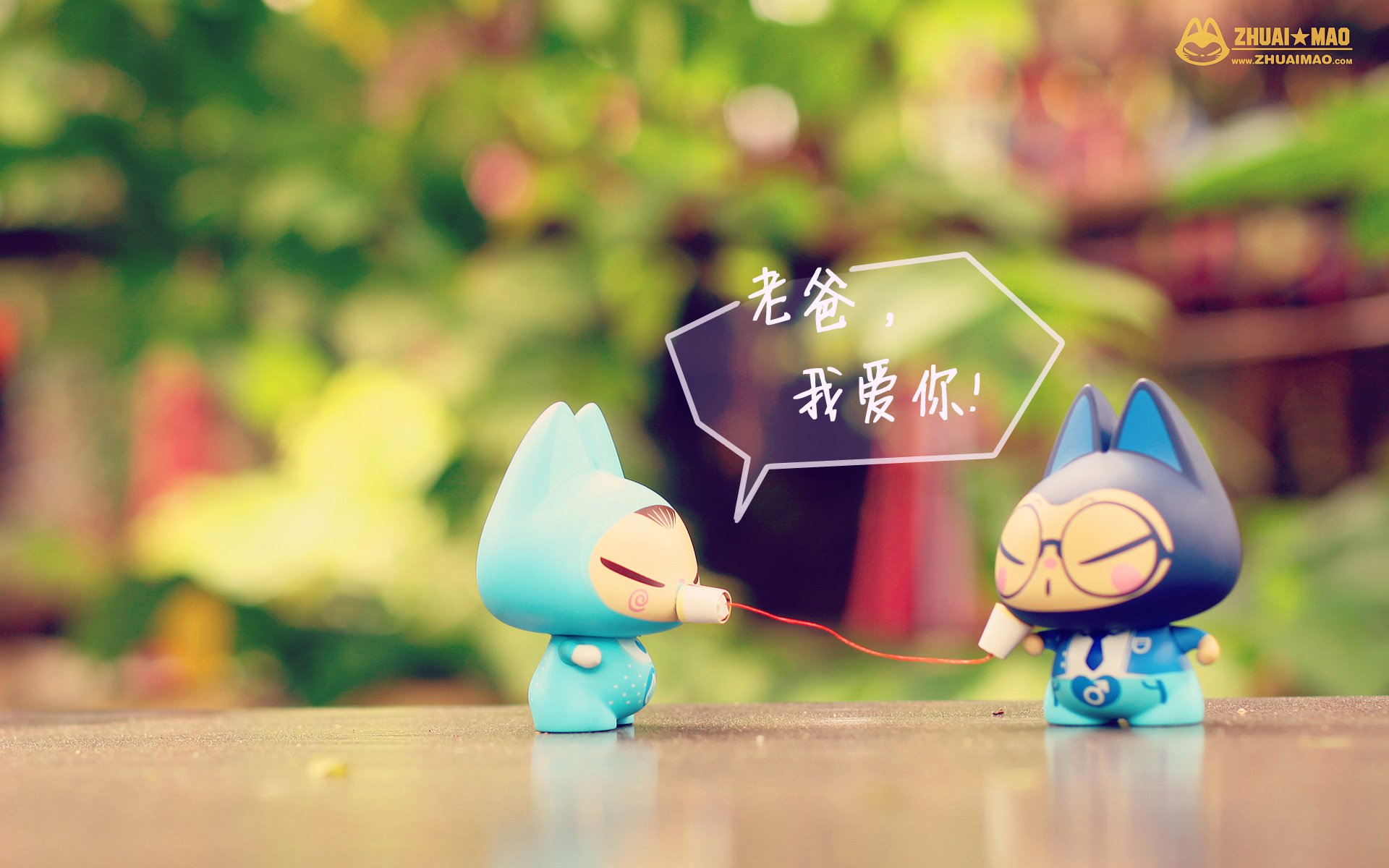 拽猫,父亲节,摄影,小清新,静物,写真