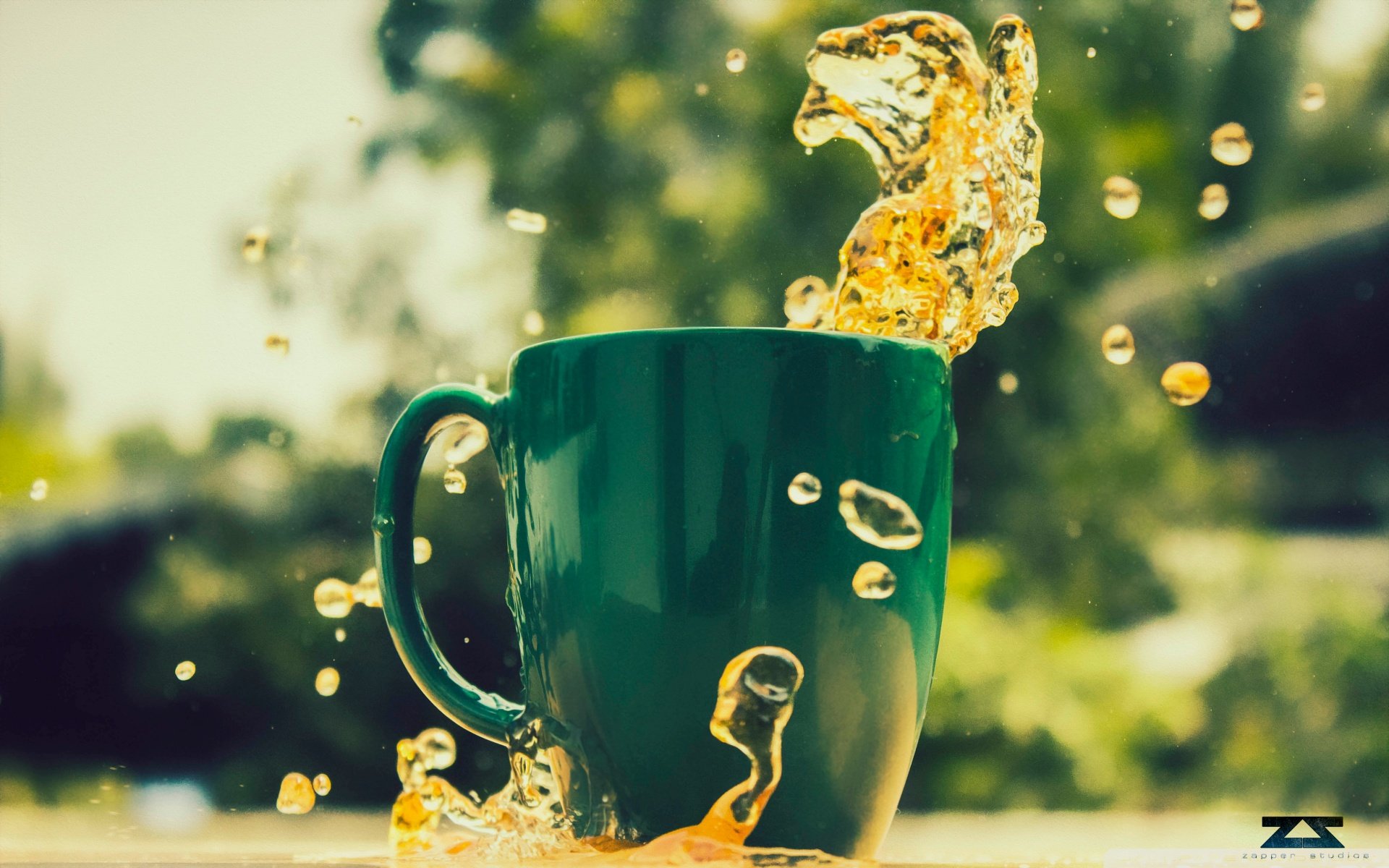 小清新,唯美,温暖,温馨一刻,静物写真