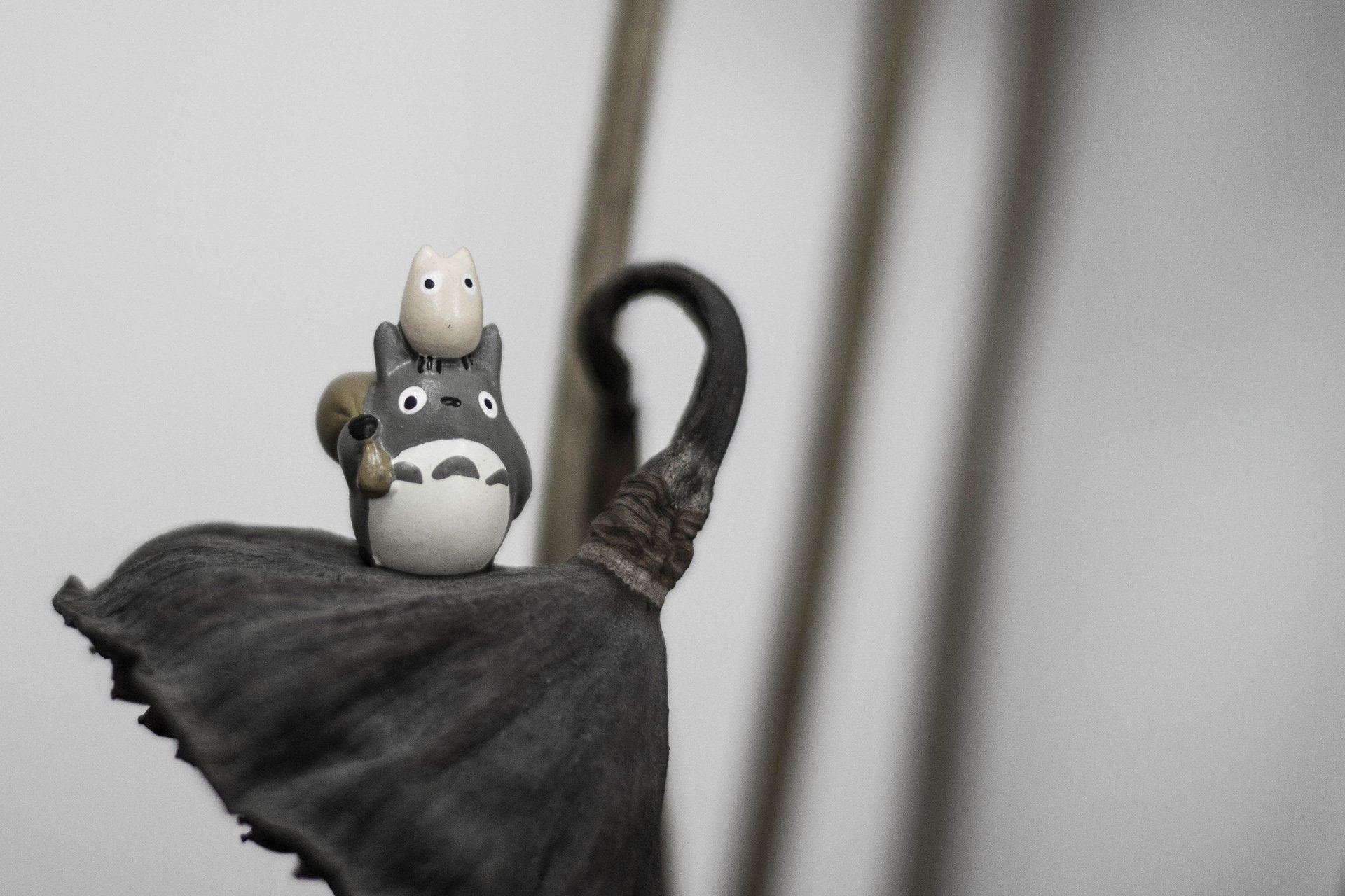 小清新,唯美,温暖,温馨一刻,静物写真,龙猫