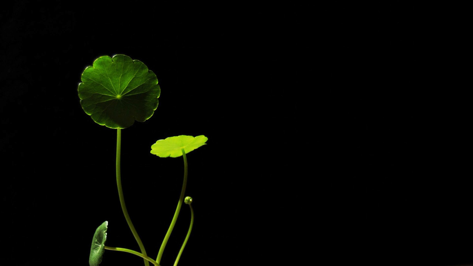 炫酷,简约,质感,特效