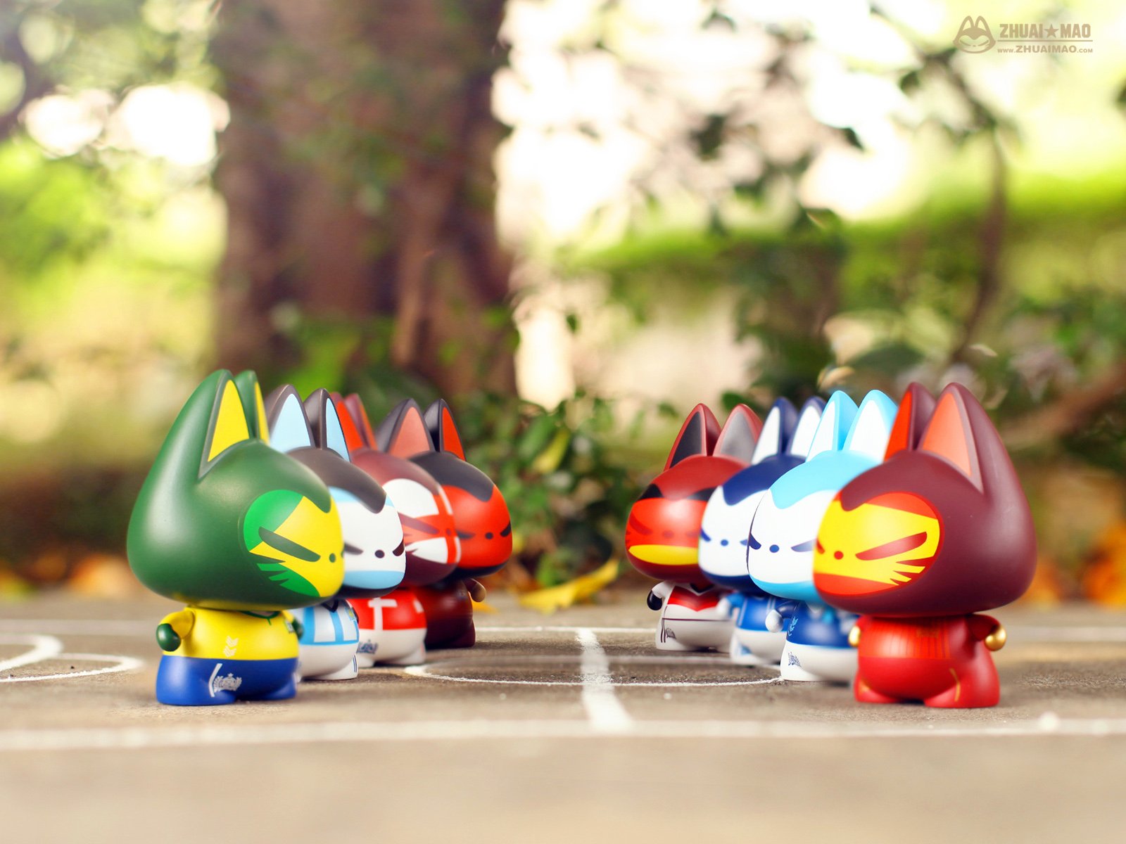 拽猫,静物,世界杯