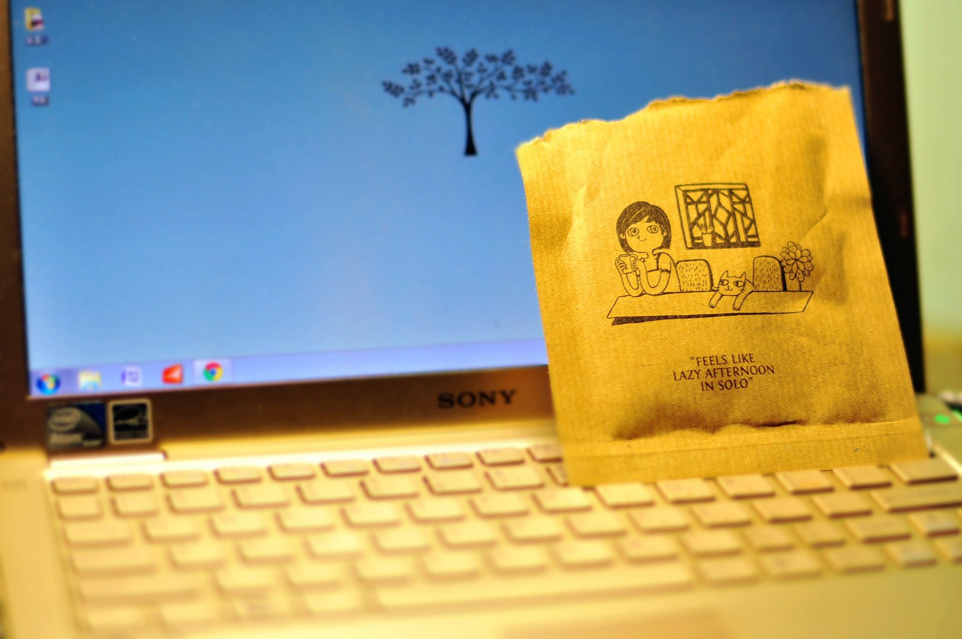 小清新,唯美,温暖,温馨一刻,静物写真