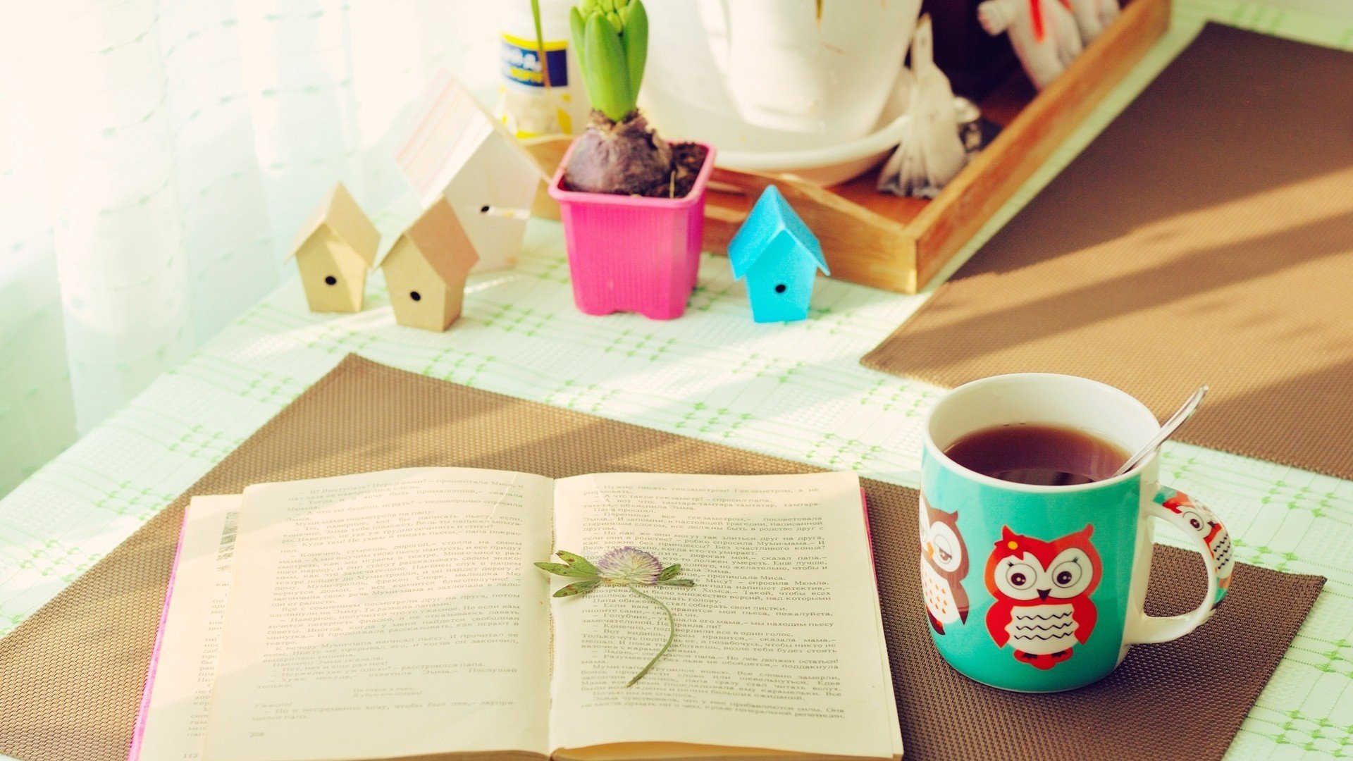 小清新,唯美,温暖,温馨一刻,静物写真