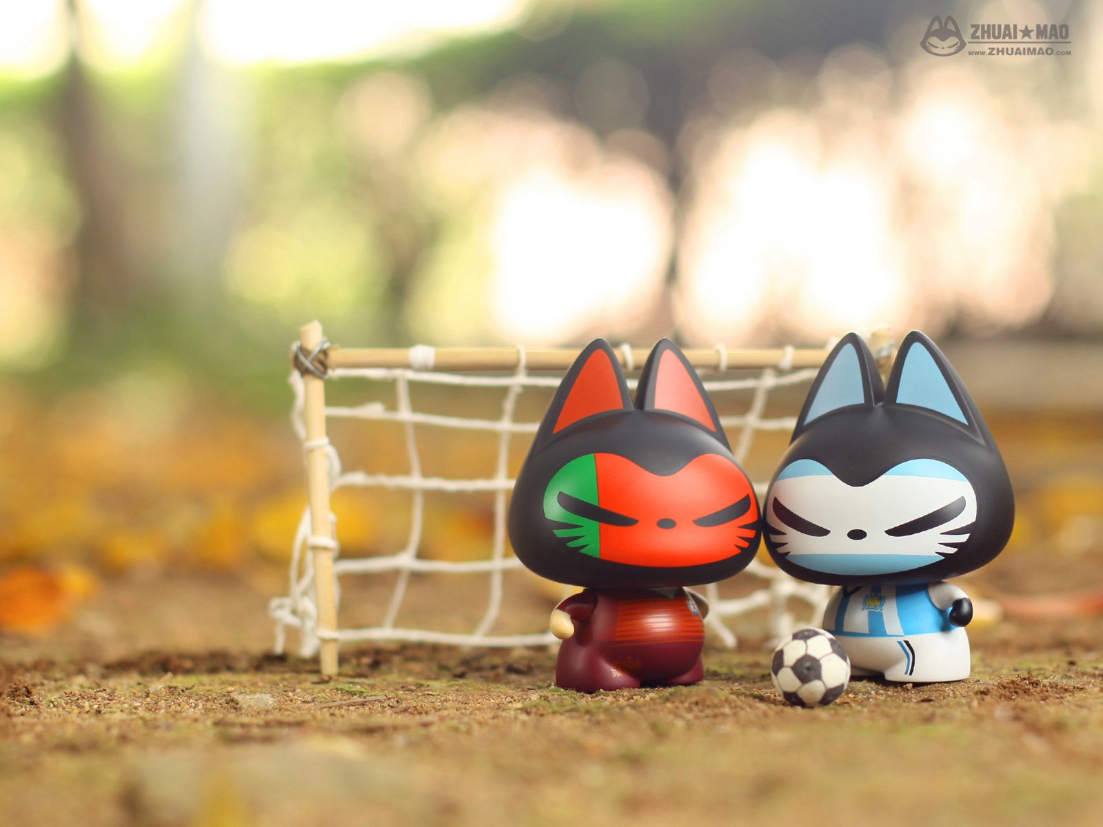 拽猫,静物,世界杯