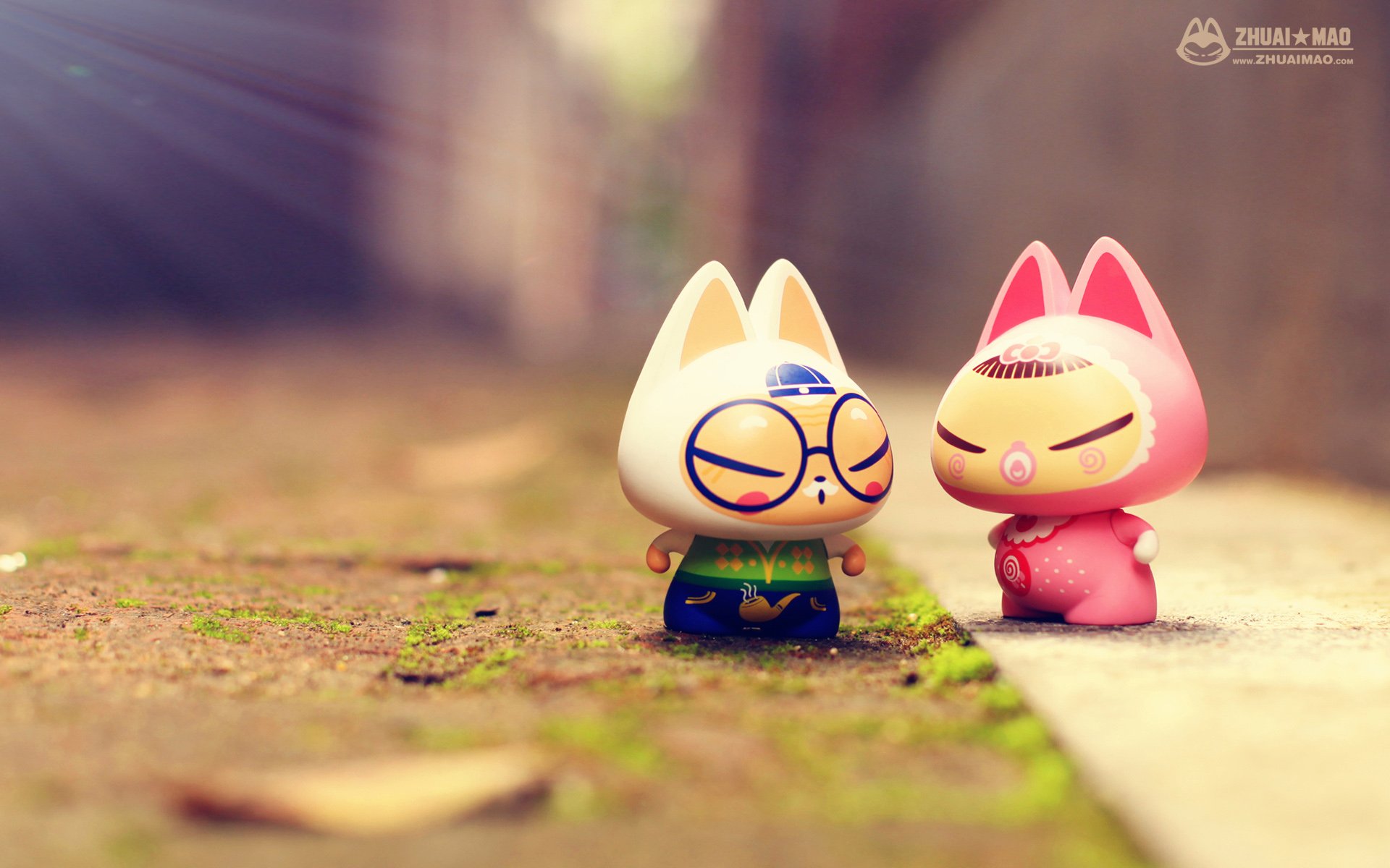 拽猫,父亲节,摄影,小清新,静物,写真