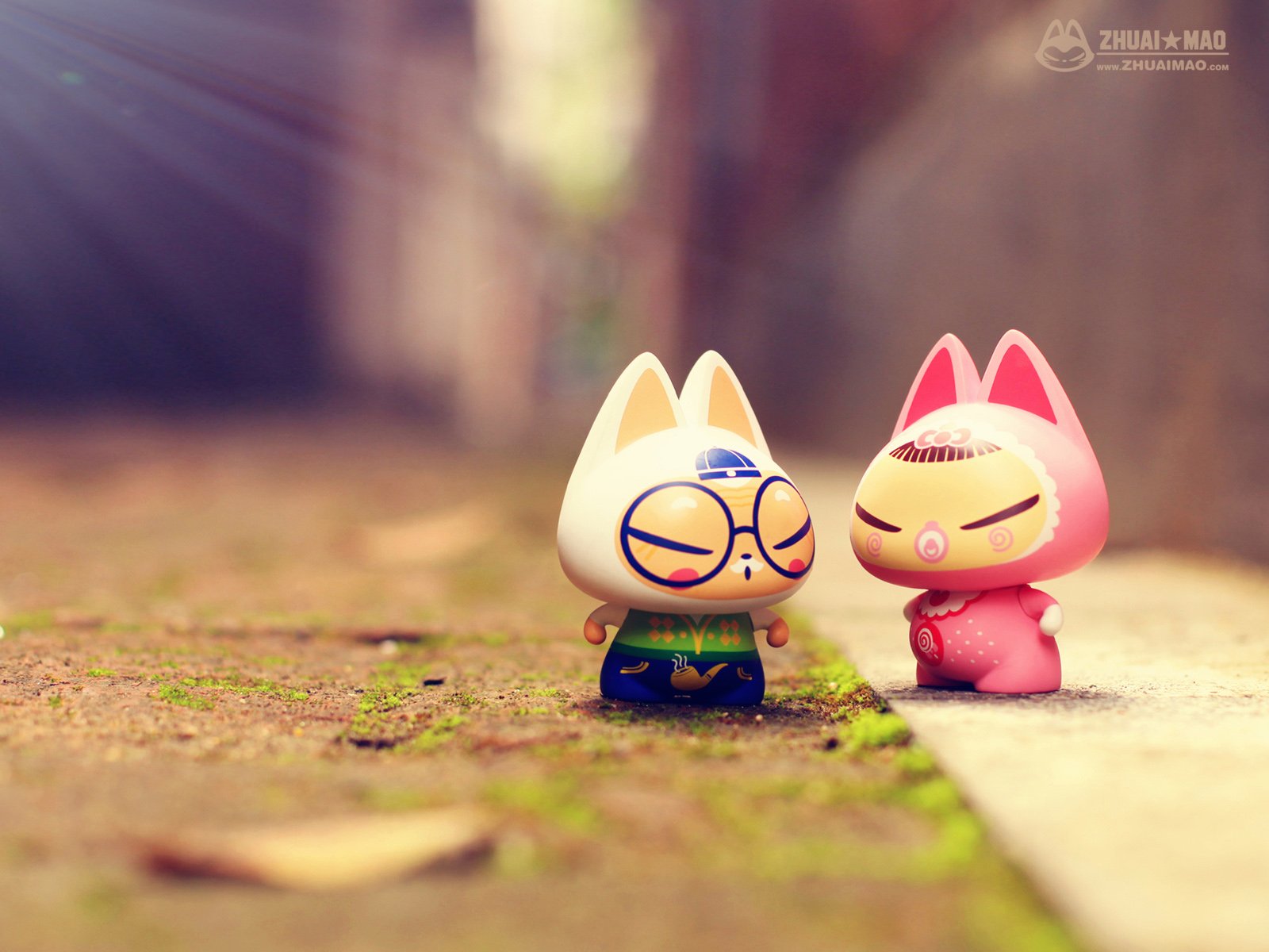 拽猫,父亲节,摄影,小清新,静物,写真