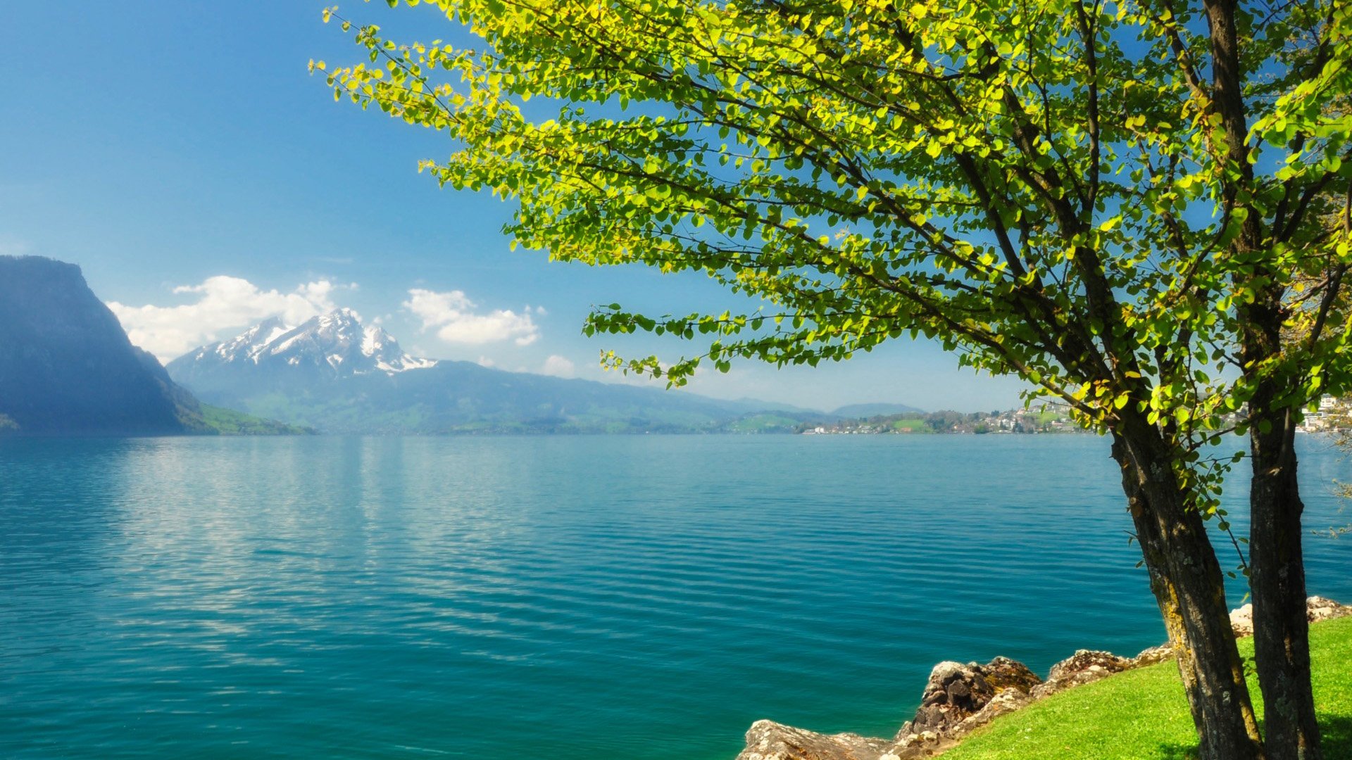 自然风光,绿色,清新,唯美,意境,炎炎夏日,旅游胜地,风景