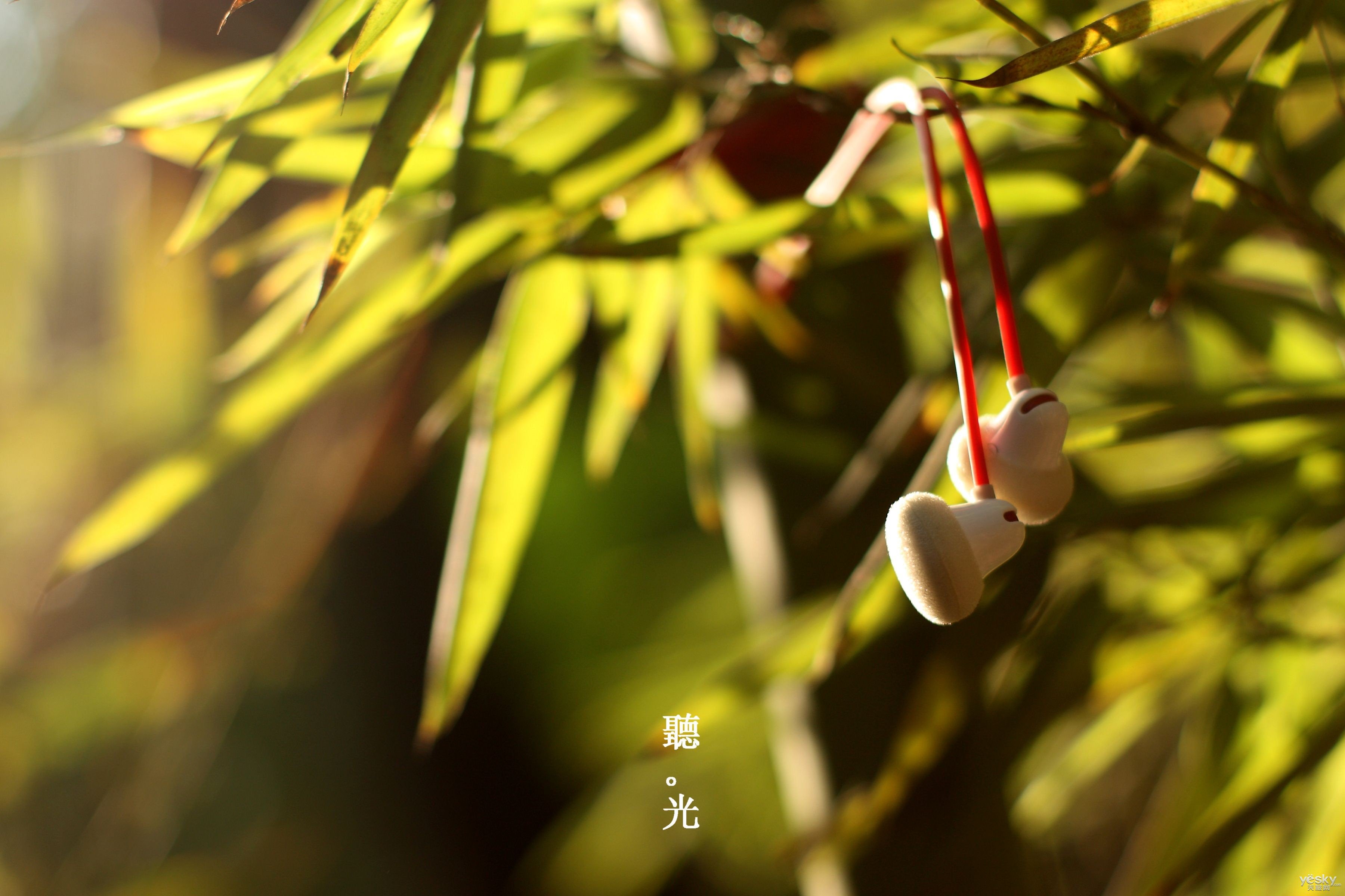 小清新,唯美,温暖,安静