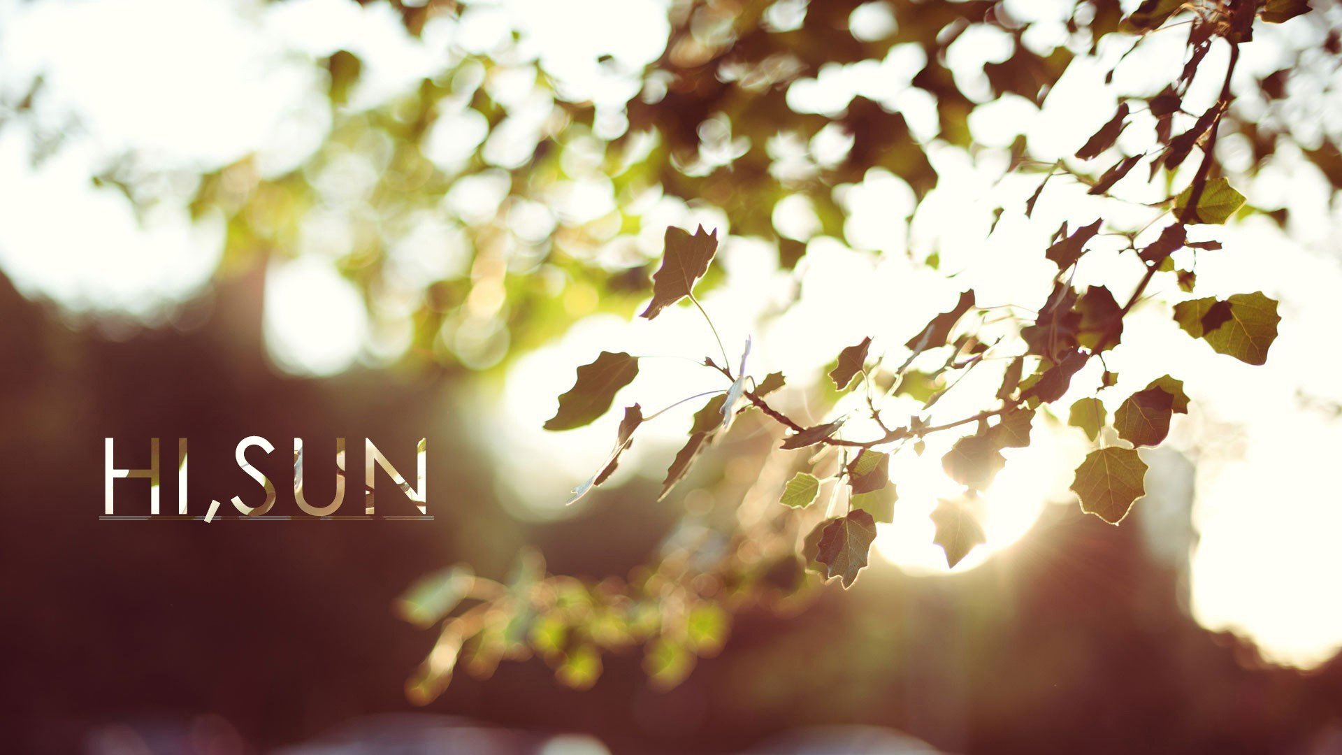 小清新,唯美,温暖,温馨一刻,静物写真