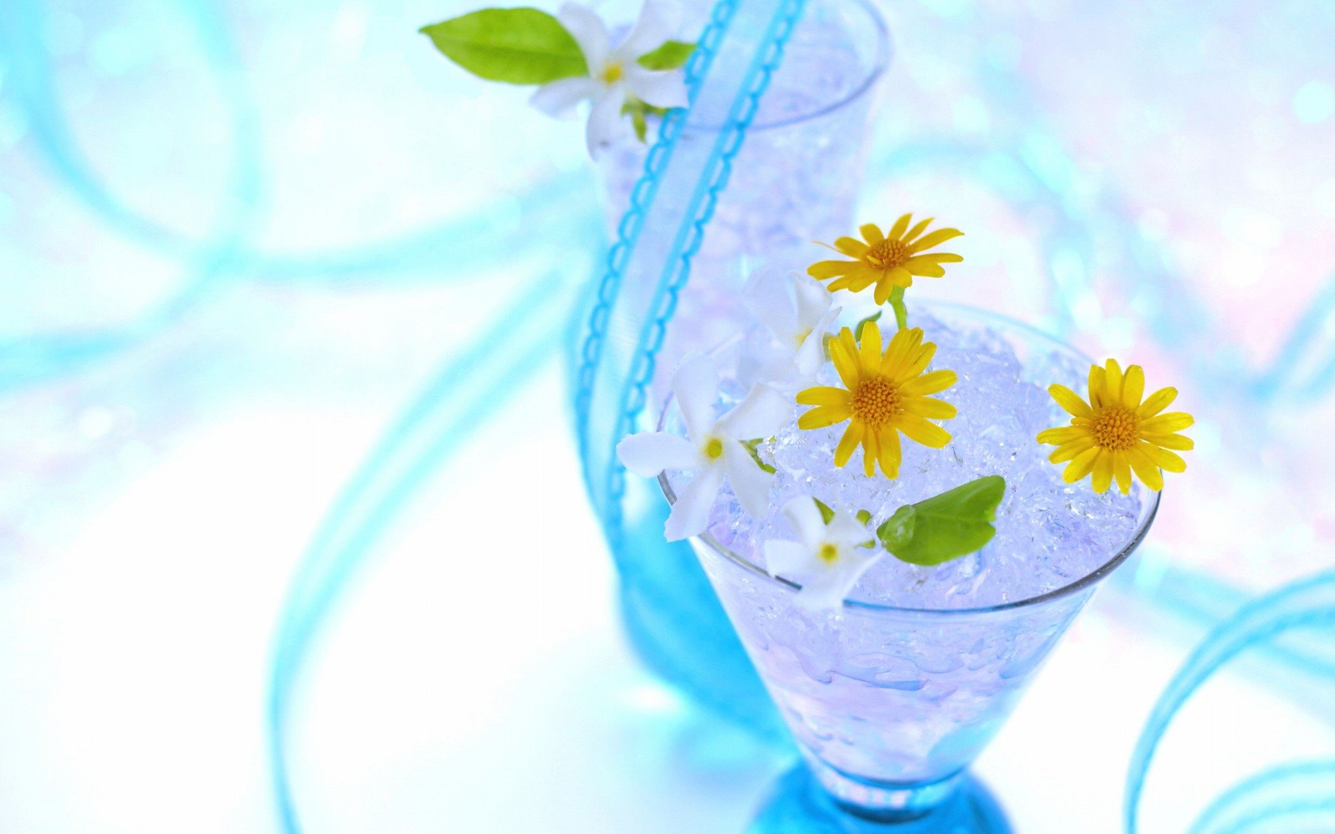 小清新,唯美,娇艳欲滴,花儿,春天,温暖,温馨一刻,清新淡雅,鸟语花香