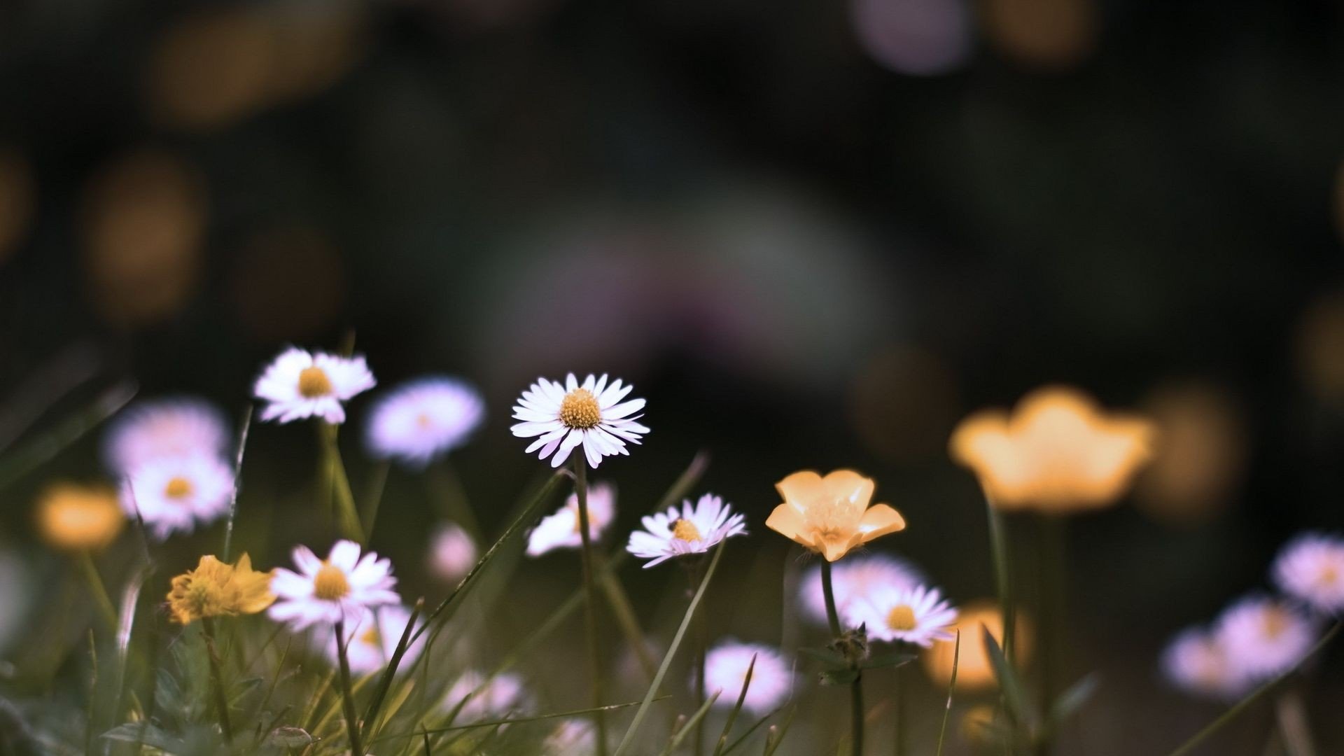 小清新,唯美,温暖,安静