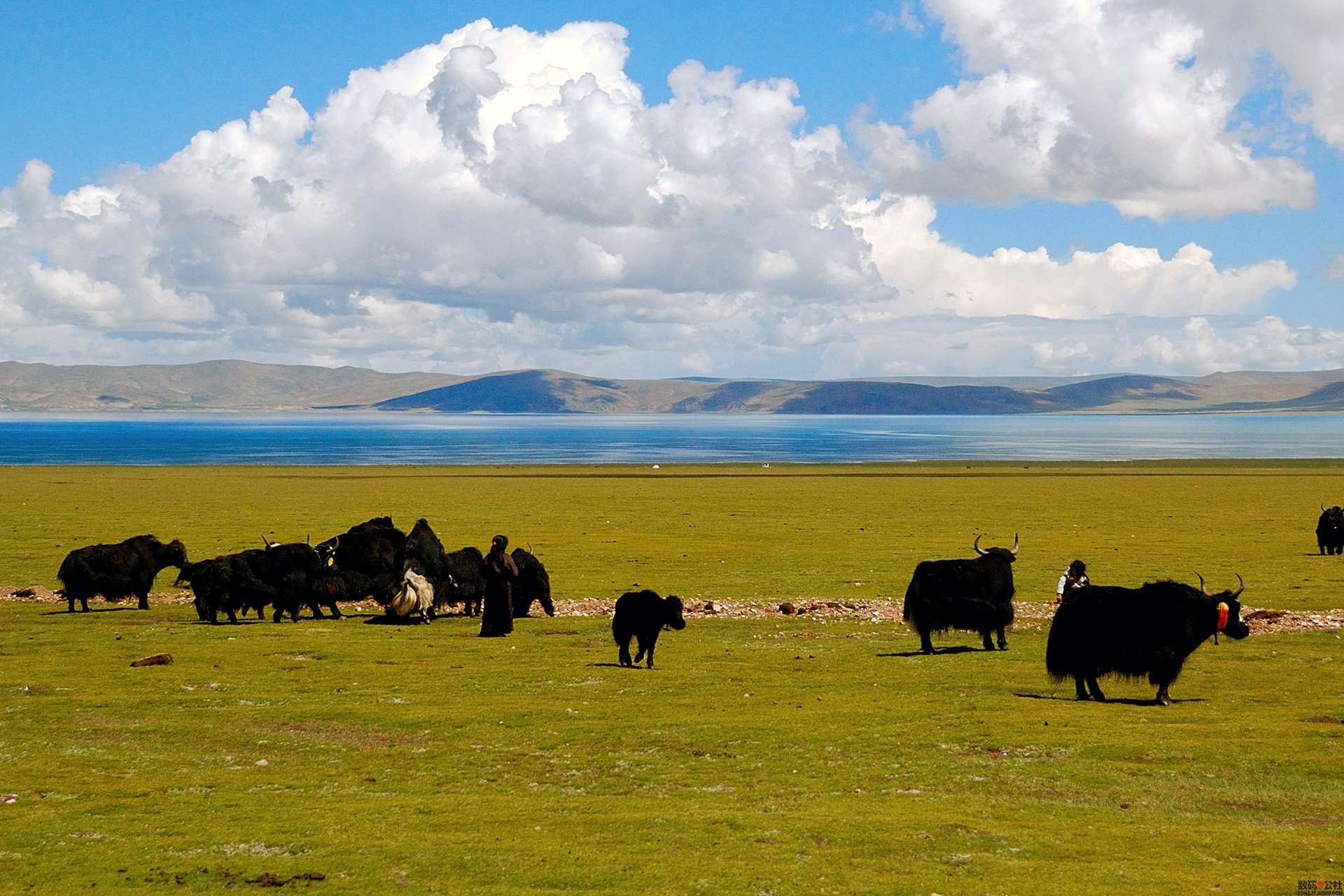 风景,自然风光,旅行,天堂,西藏,旅游胜地,自由,净化心灵