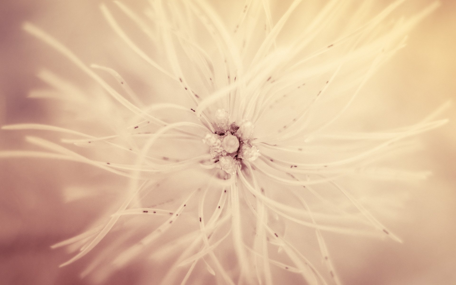 小清新,唯美,温暖,安静