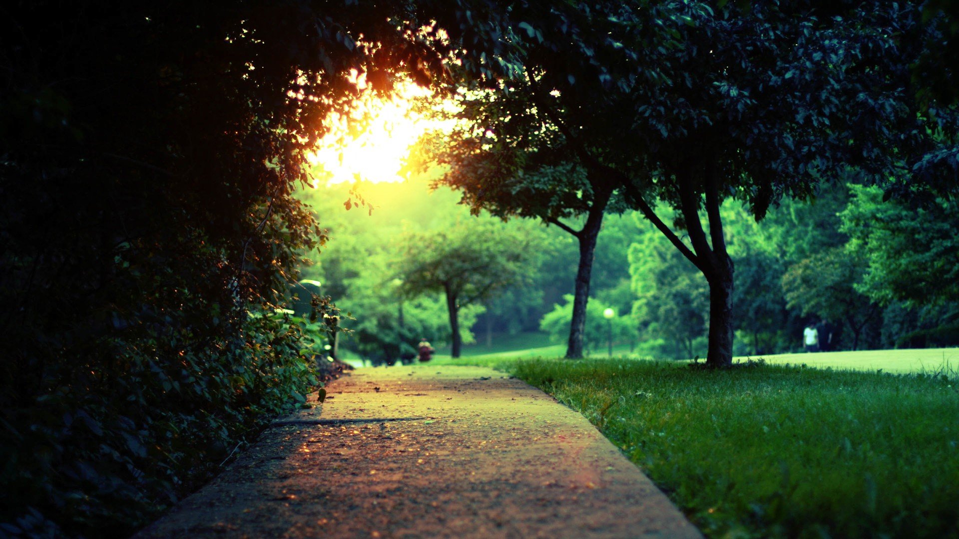 自然风光,绿色,清新,唯美,意境,炎炎夏日,旅游胜地,风景