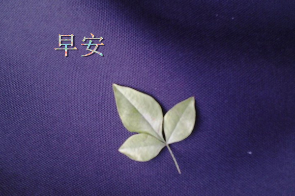 小清新,唯美,温暖,安静