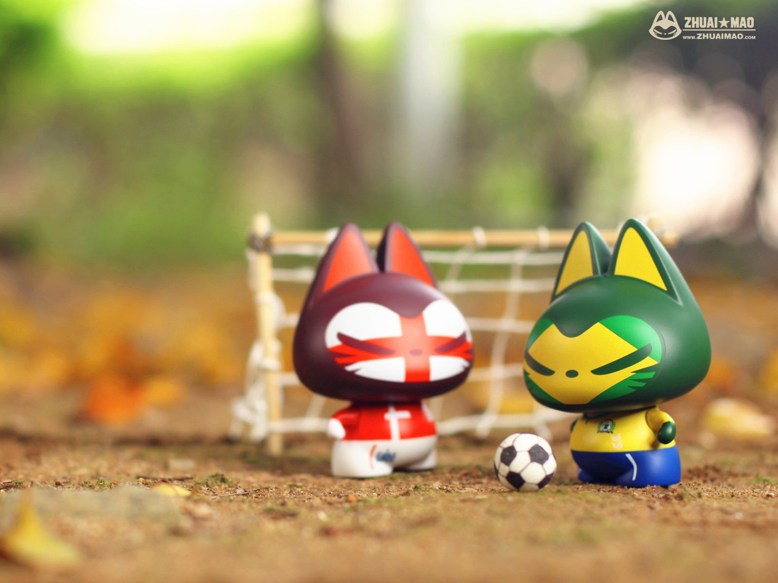 拽猫,静物,世界杯