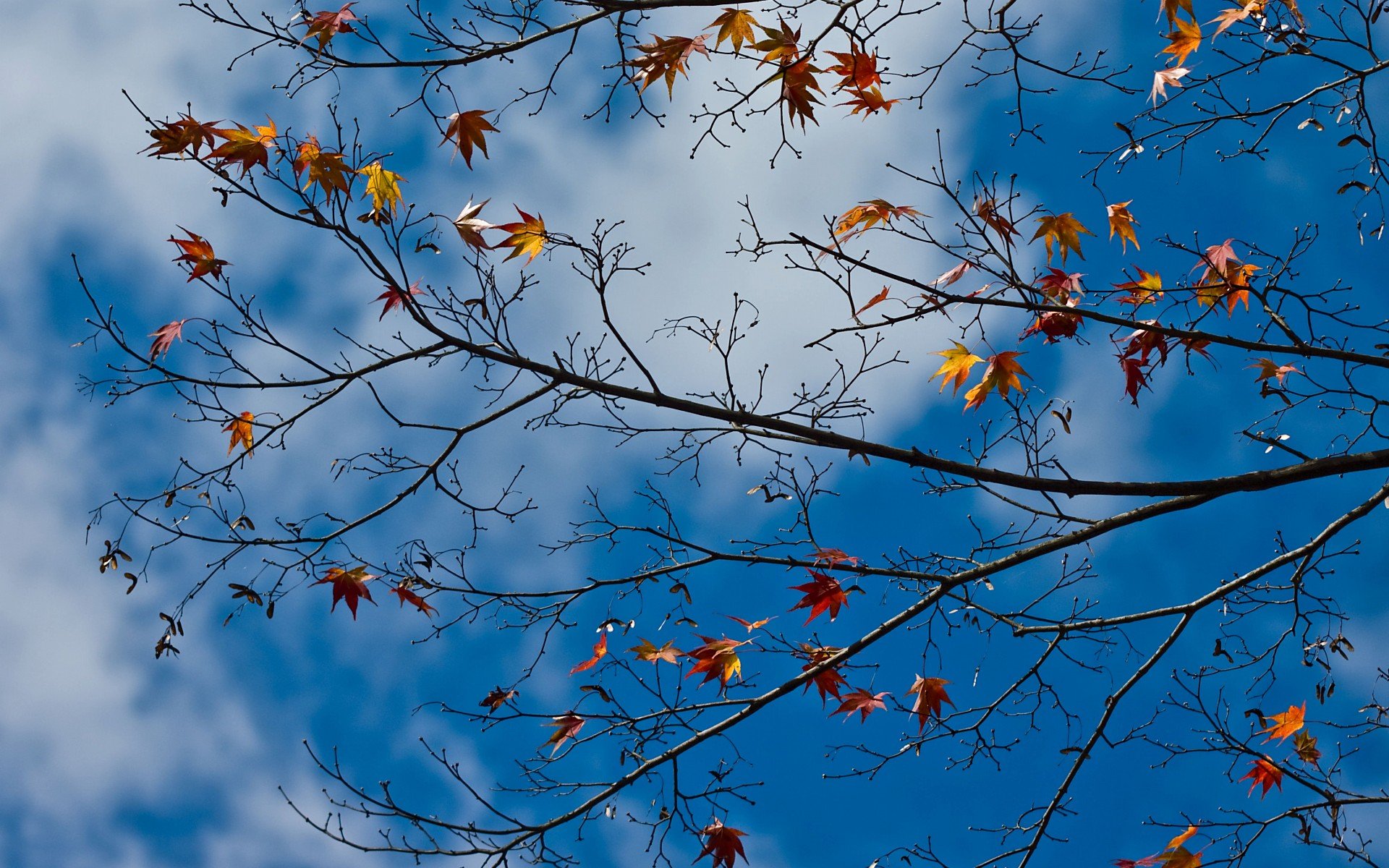 自然风光,绿色,清新,唯美,意境,炎炎夏日,旅游胜地,风景