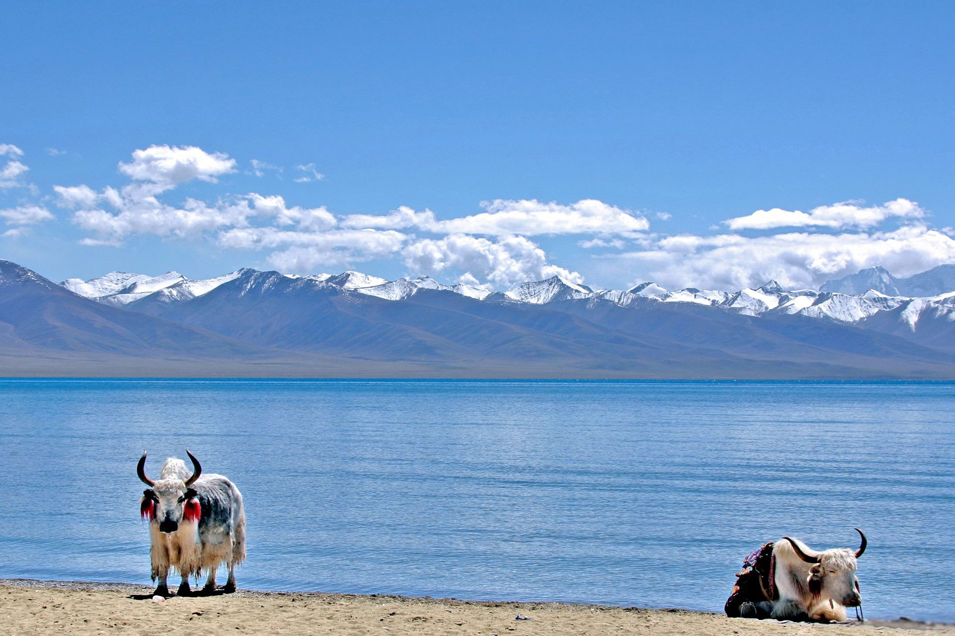 风景,自然风光,旅行,天堂,西藏,旅游胜地,自由,净化心灵