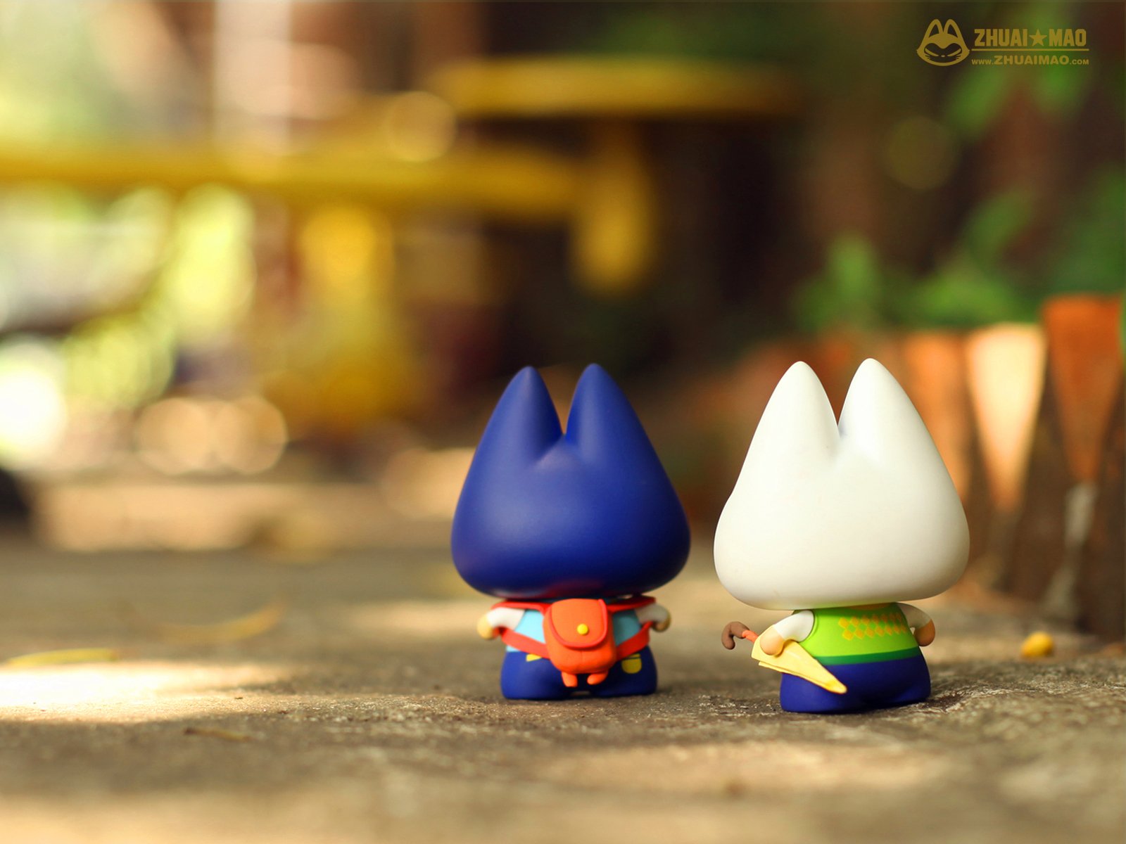 拽猫,父亲节,摄影,小清新,静物,写真