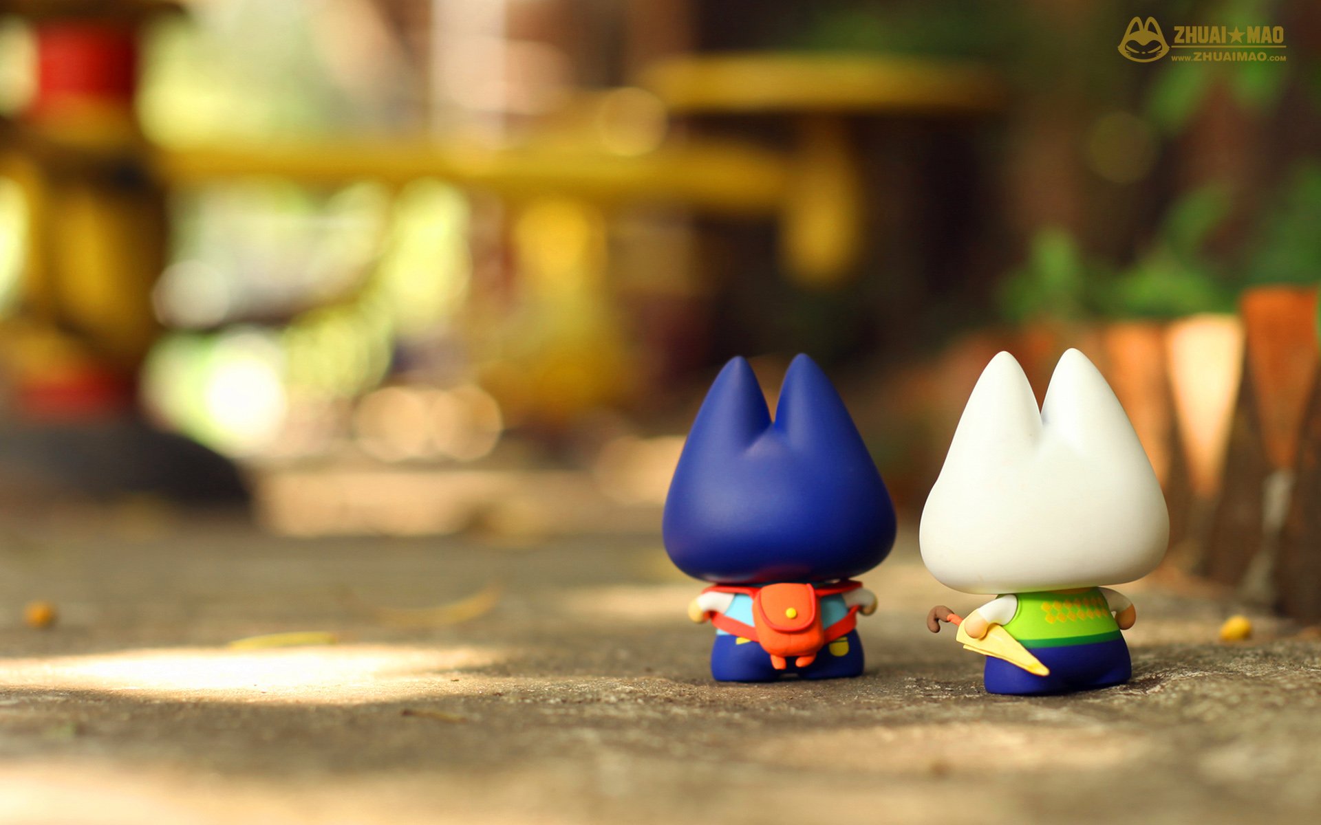 拽猫,父亲节,摄影,小清新,静物,写真