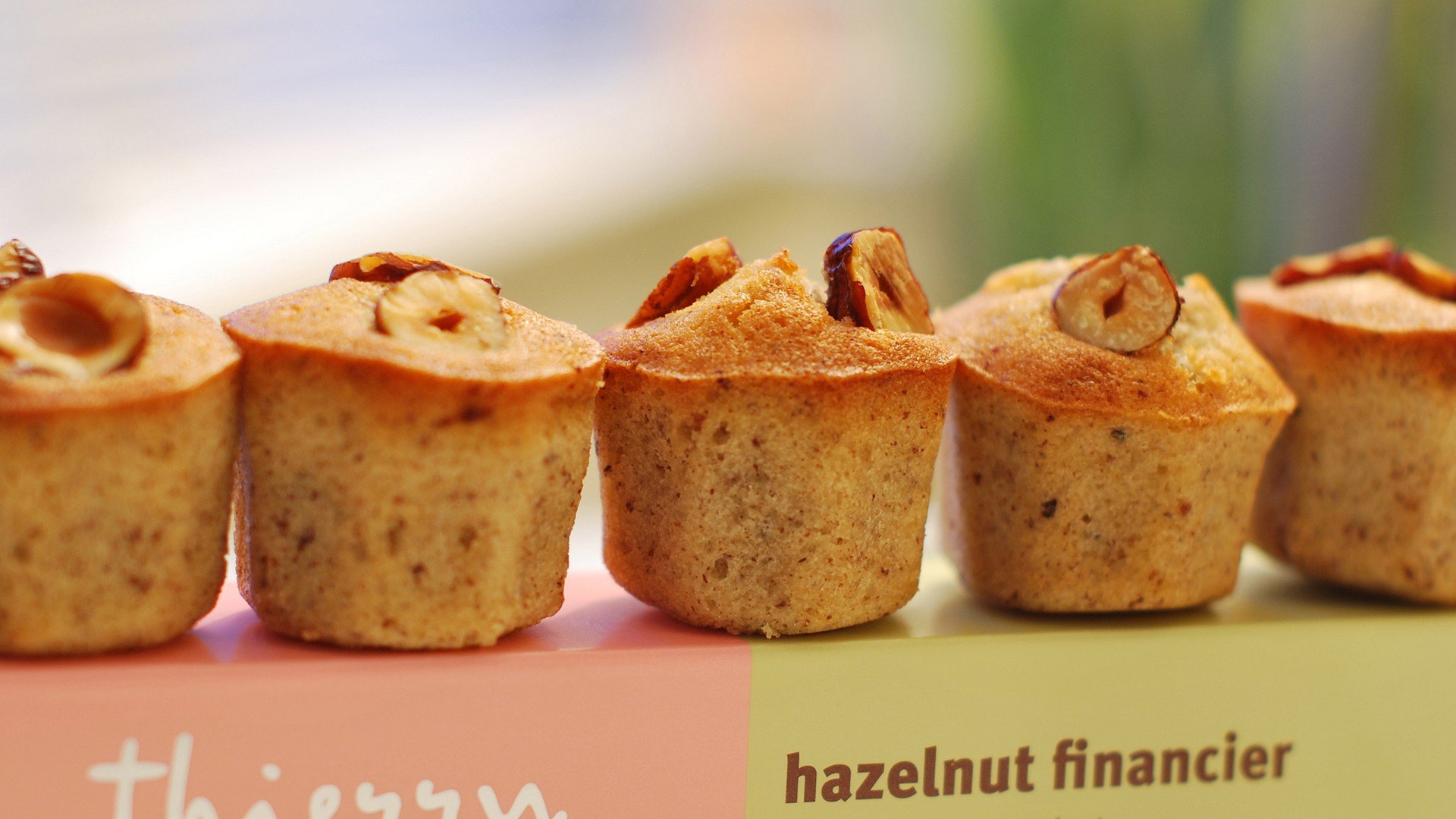 小清新,唯美,温暖,温馨一刻,静物写真