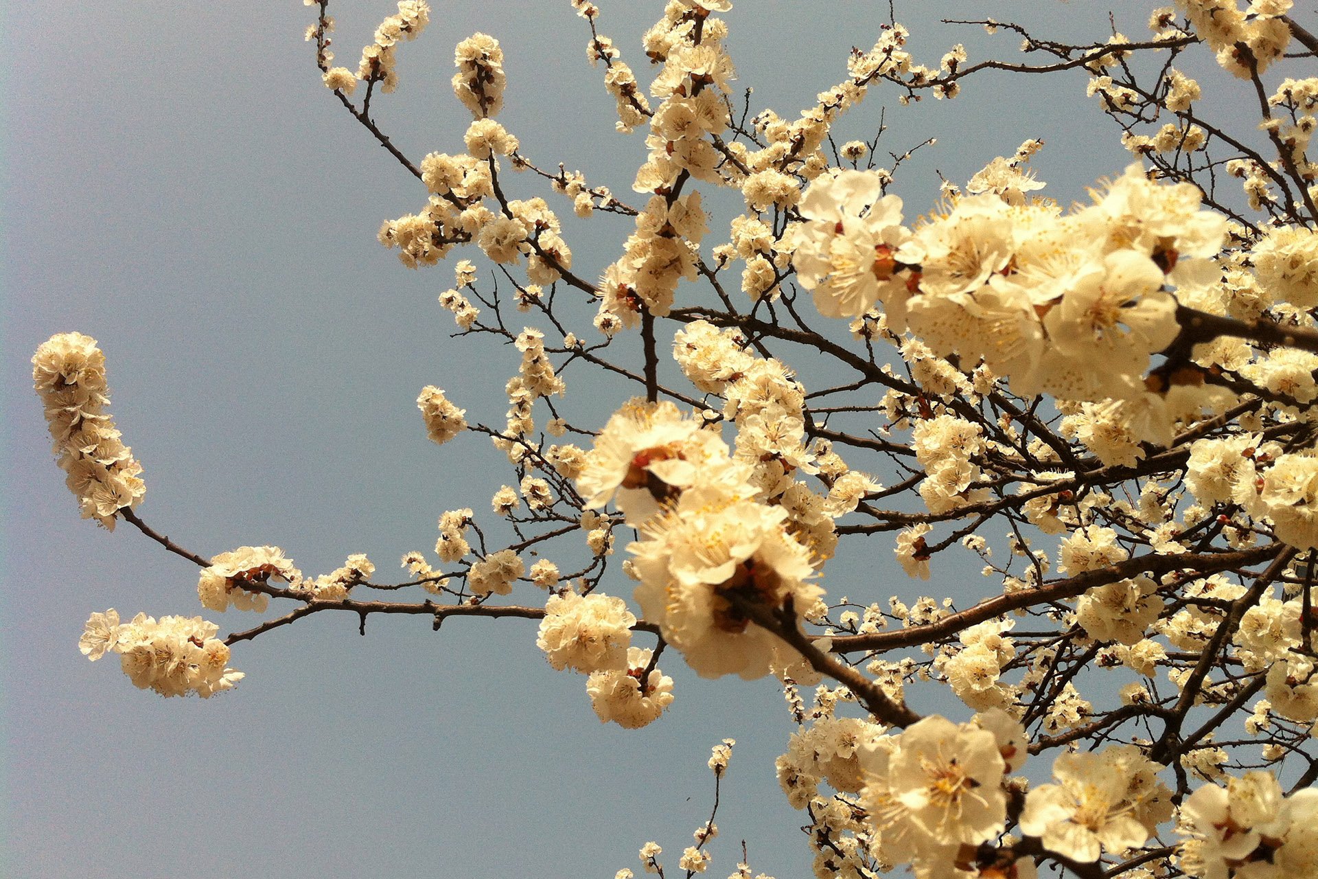 自然风光,绿色,清新,唯美,意境,炎炎夏日,旅游胜地,风景