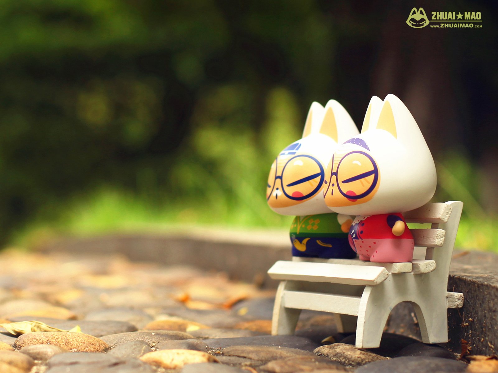 拽猫,父亲节,摄影,小清新,静物,写真