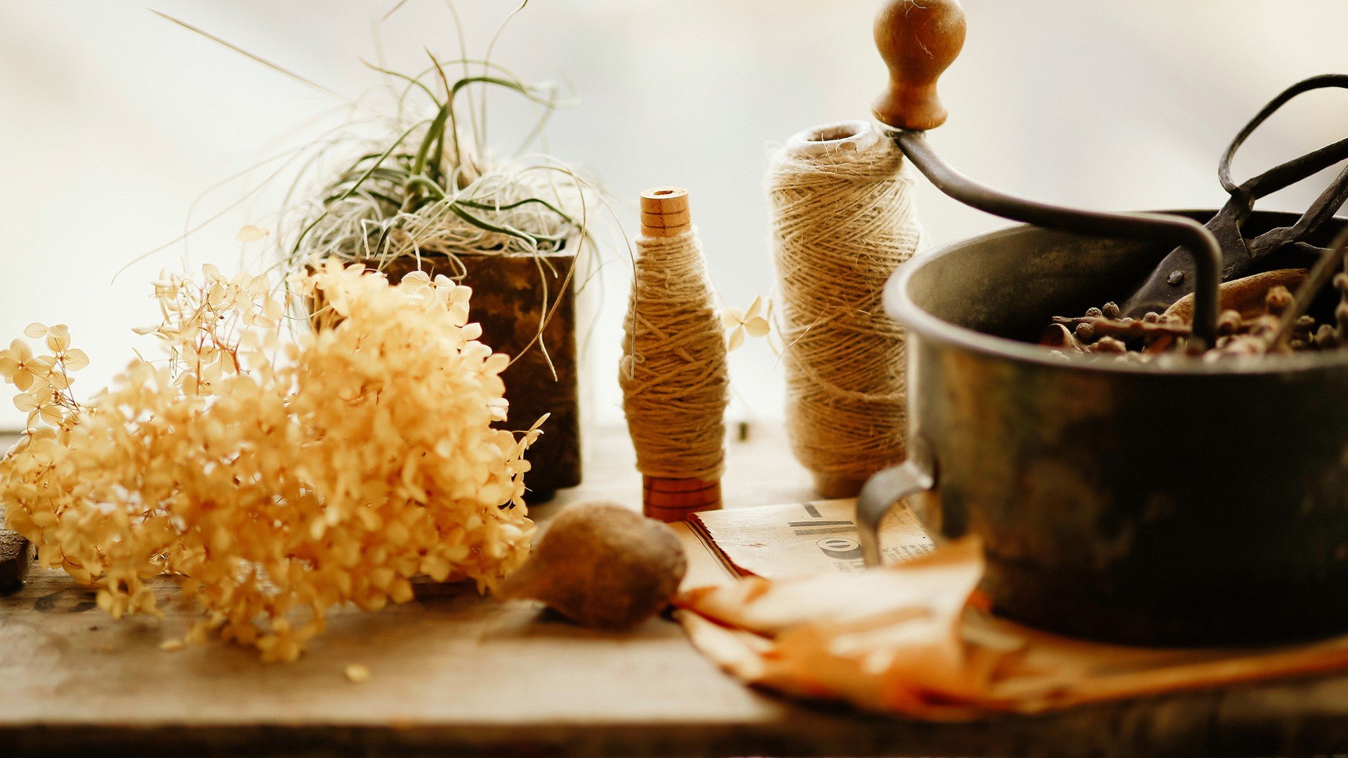 小清新,唯美,静物写真,温馨,物语,回忆,花