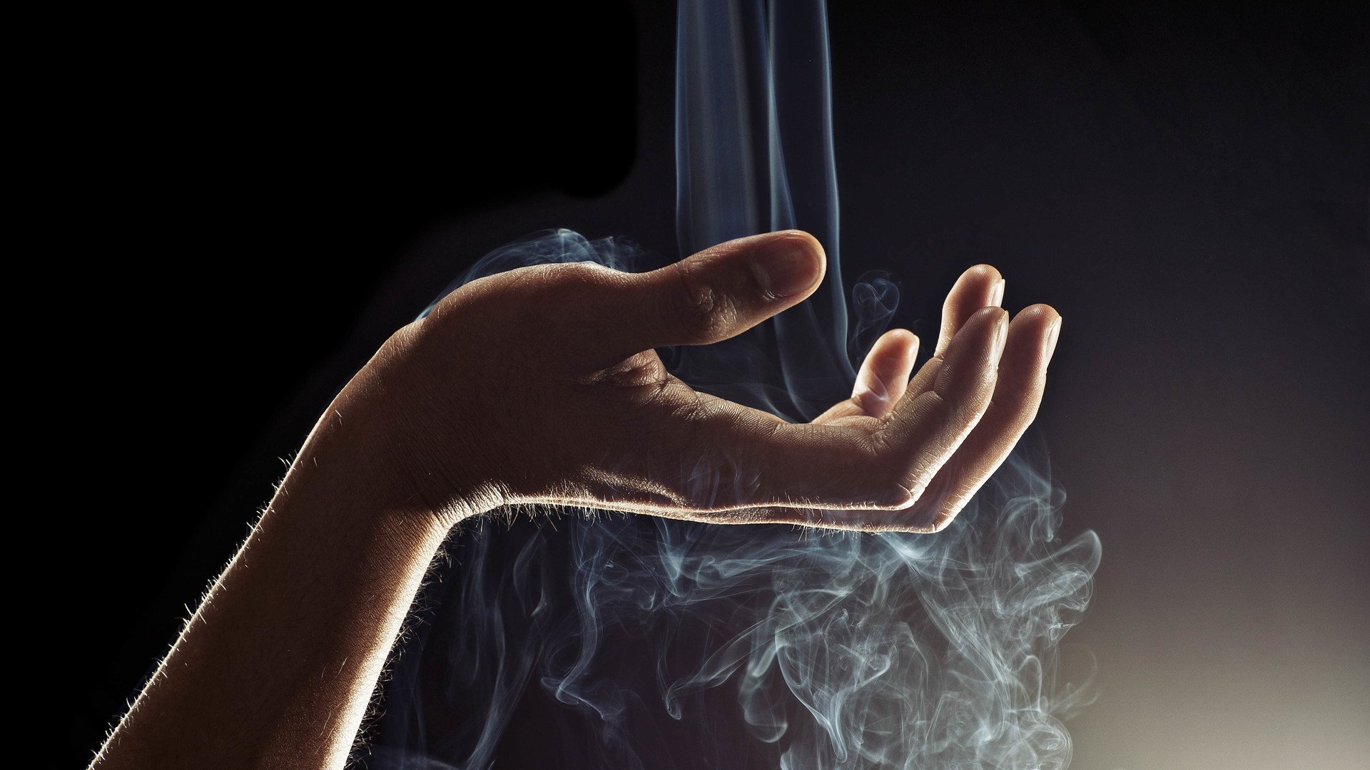 小清新,唯美,麦苗,麦田,丰收,夕阳,秋天