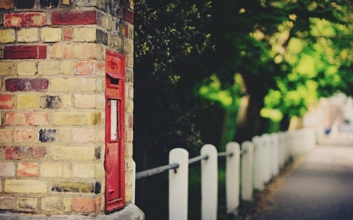 小清新,唯美,温馨,安静,花园