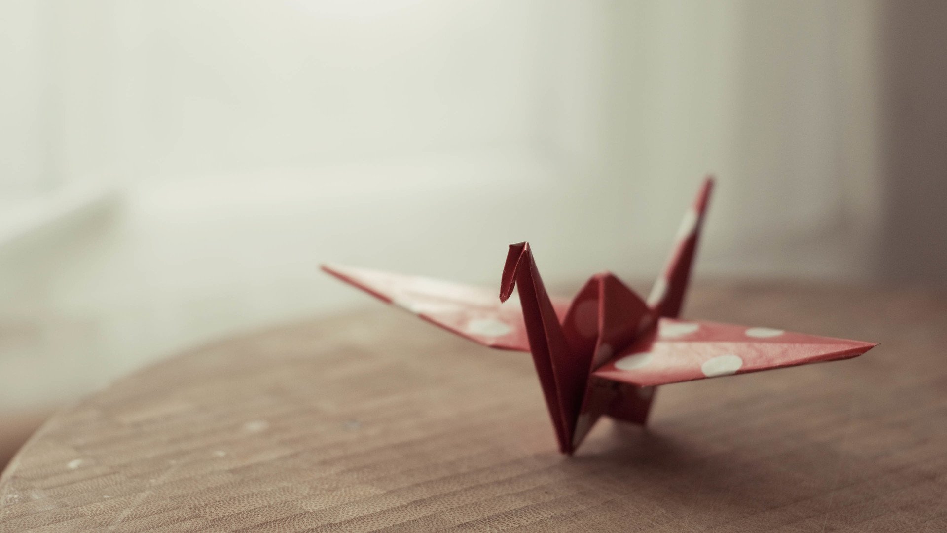 小清新,唯美,折纸,愿望,心愿,千纸鹤