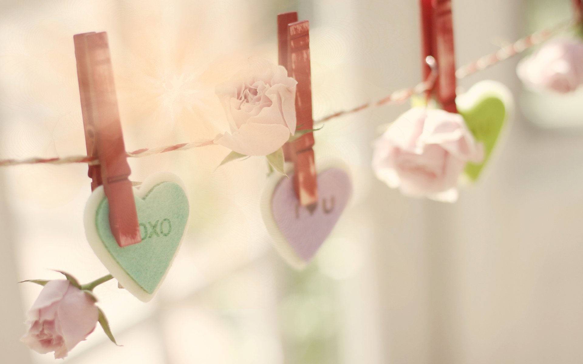 浪漫,爱情,温暖,心,唯美,温馨,love