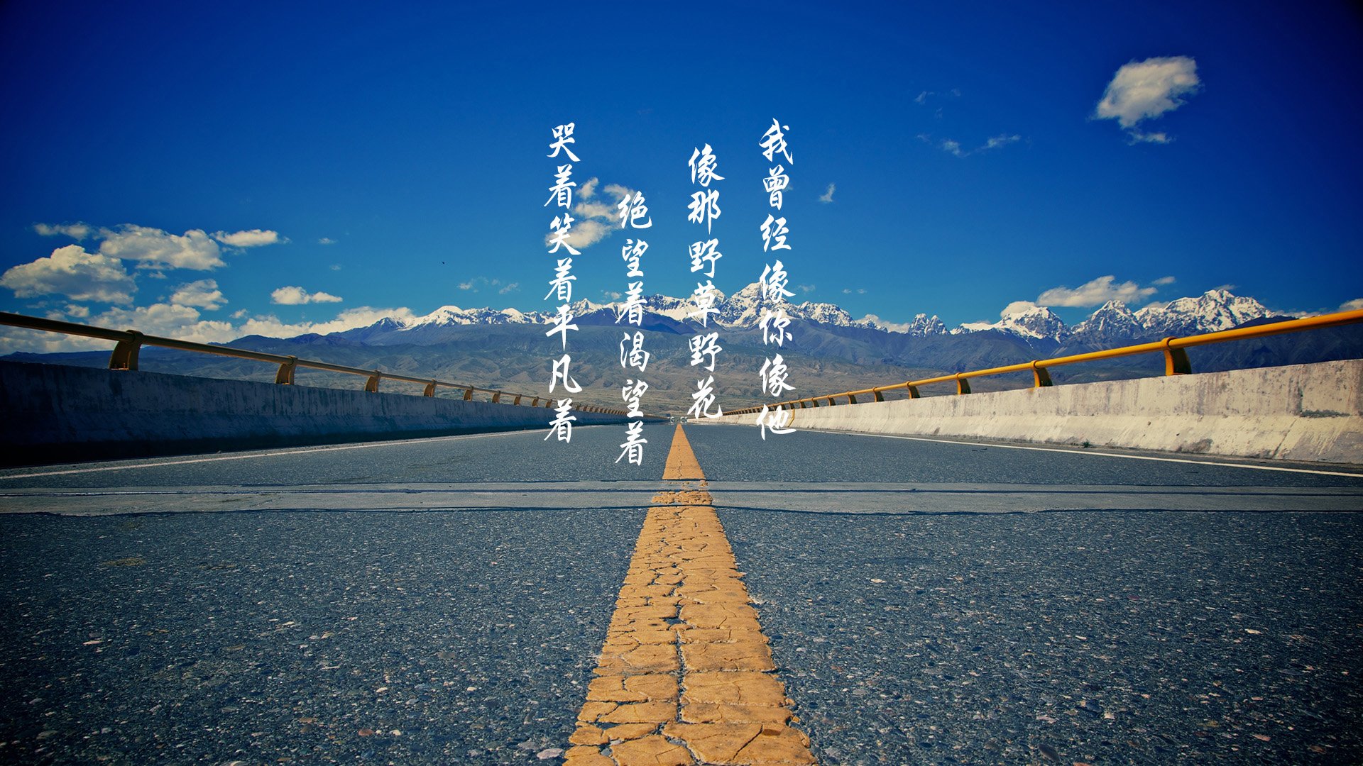 文字控,平凡之路,励志,奋斗,正能量,朴树,韩寒,后会无期,路,文字