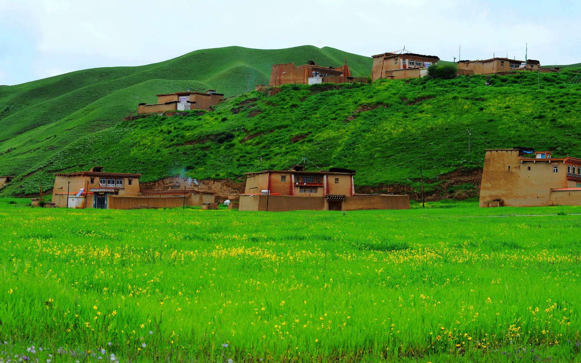 私人地理,风景,草原,摄影