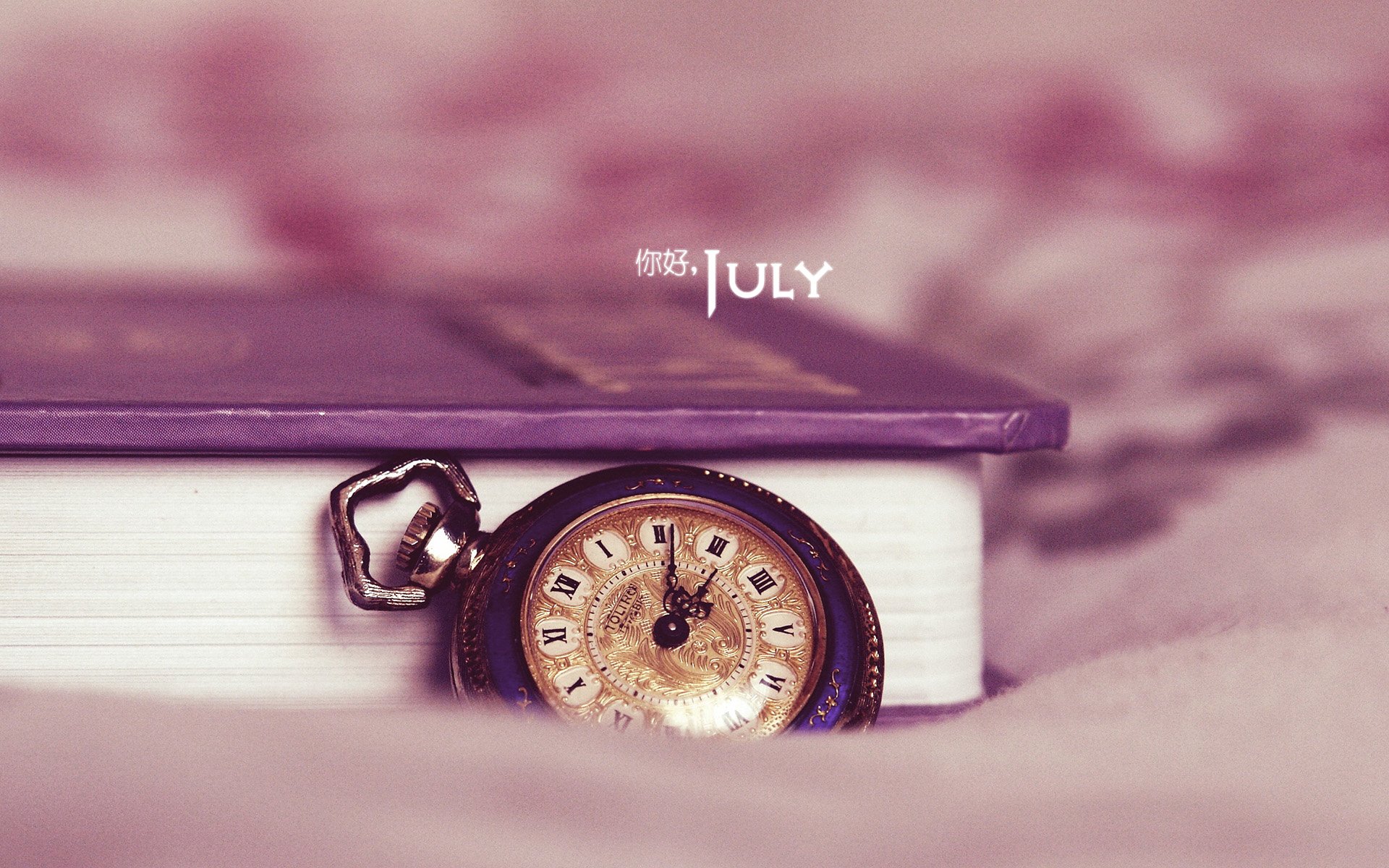 小清新,温暖,安静,七月,你好