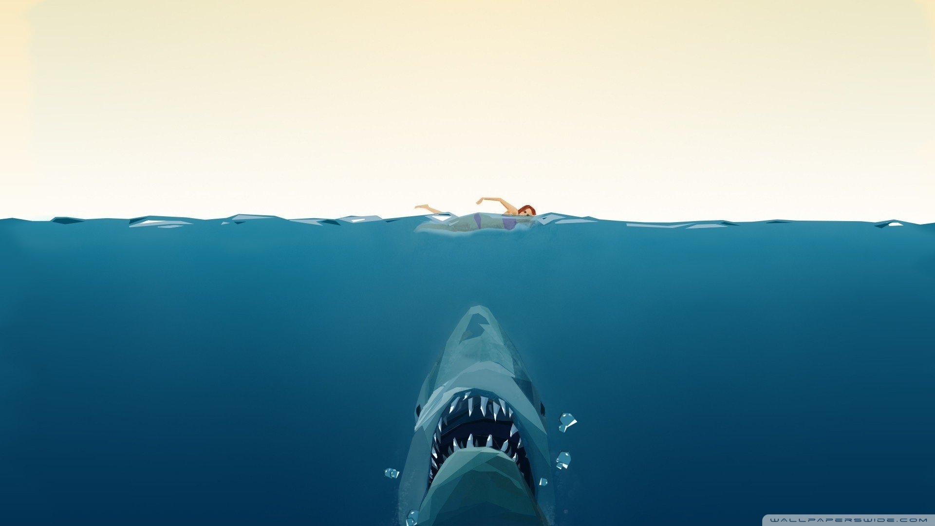 动物,野生动物,大自然,鲨鱼