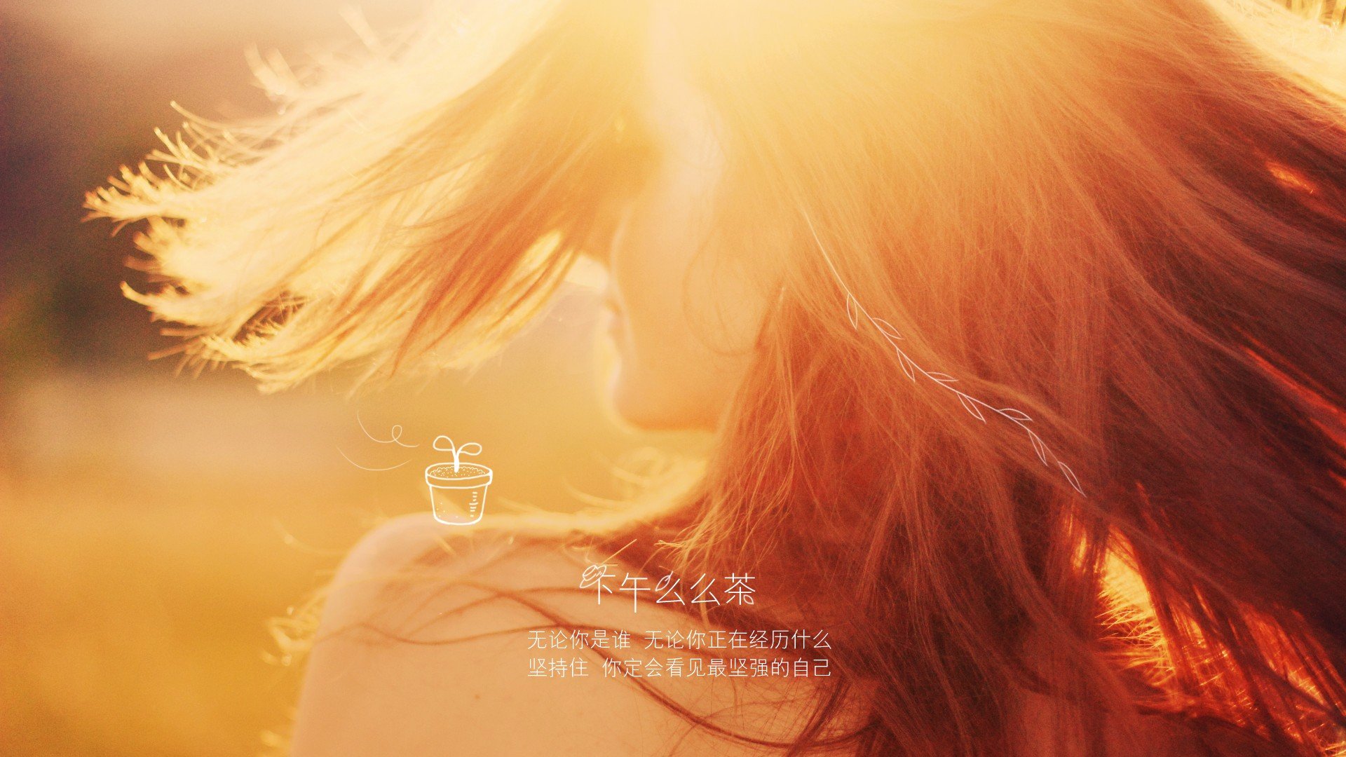 小清新,唯美,温馨,安静,花