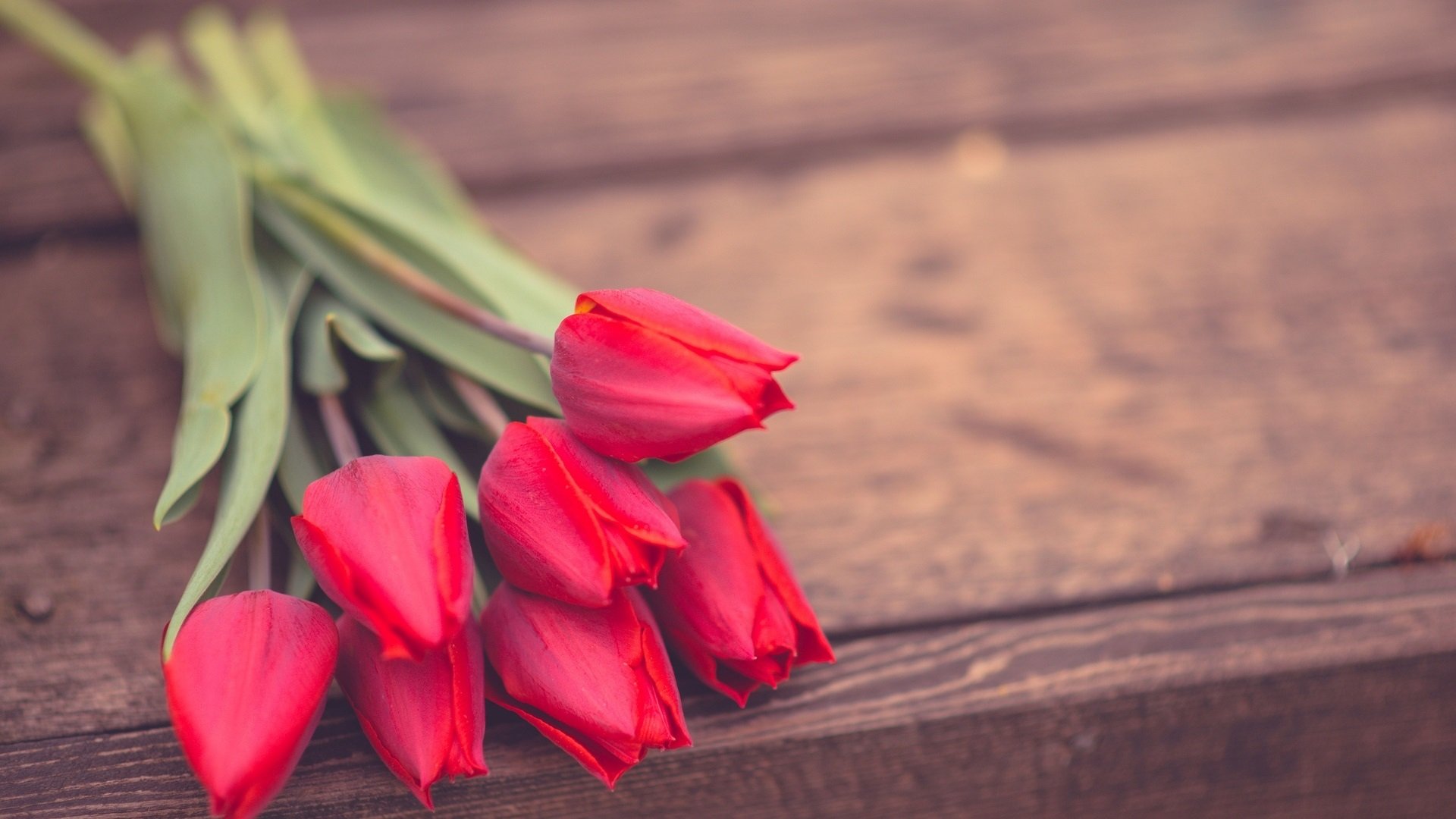 小清新,唯美,静物写真,温馨,物语,回忆,兔子