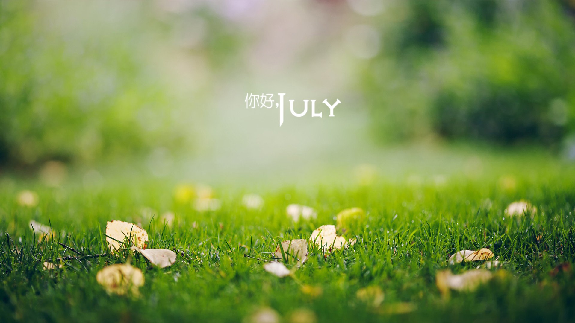 小清新,温暖,安静,七月,你好