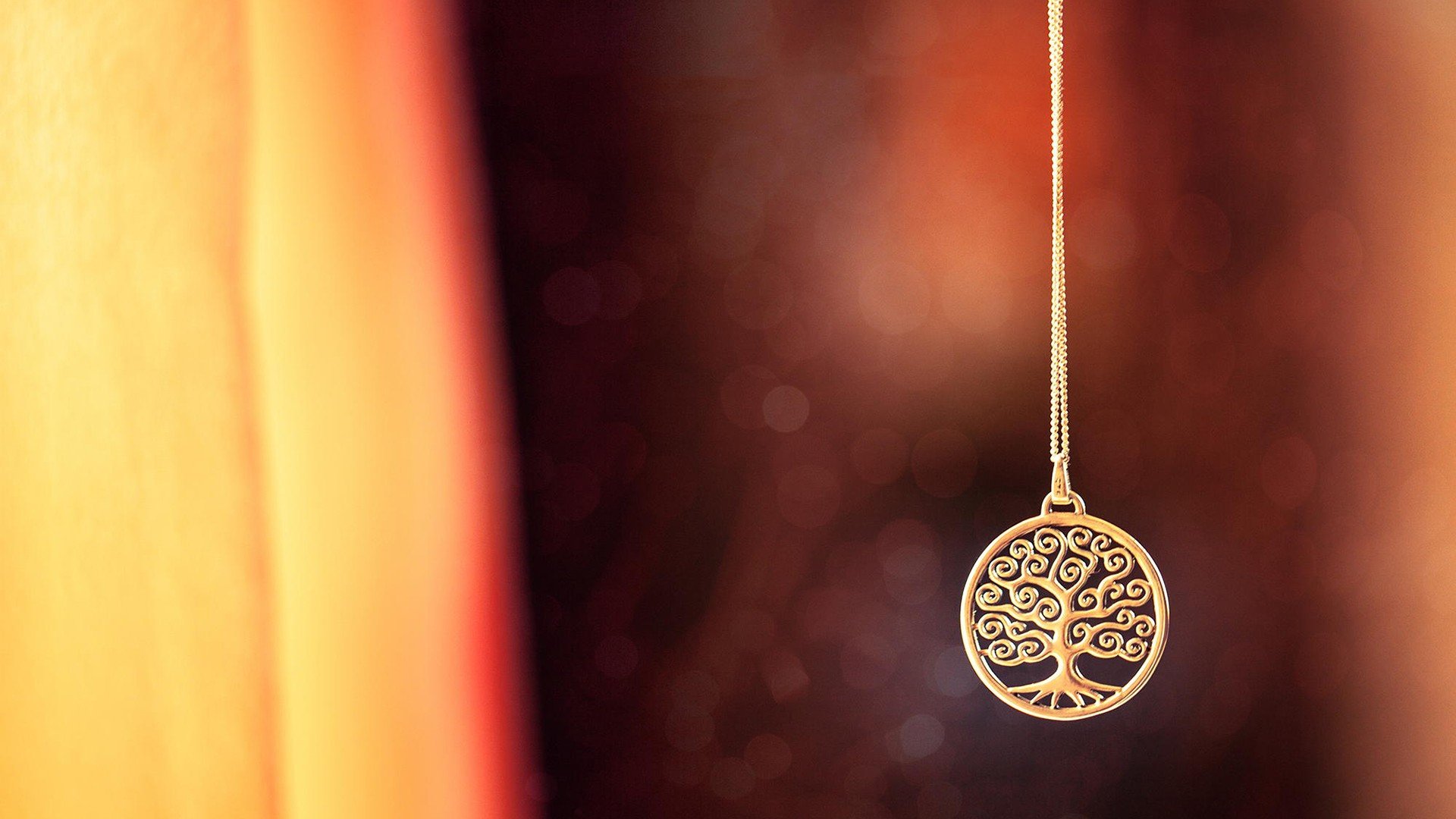 小清新,唯美,静物写真,温馨,物语,回忆,花瓣