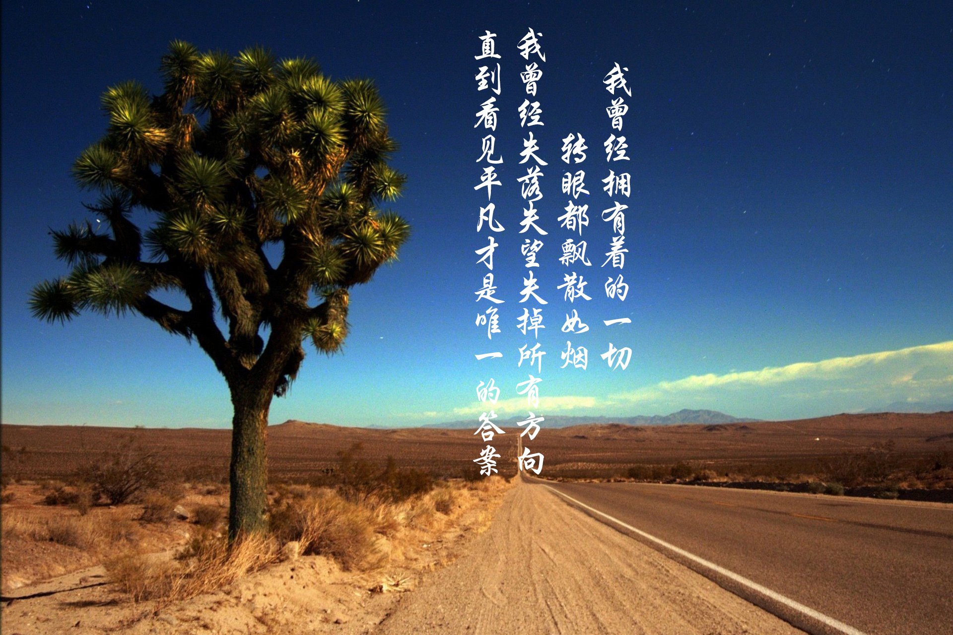 文字控,平凡之路,励志,奋斗,正能量,朴树,韩寒,后会无期,路,文字