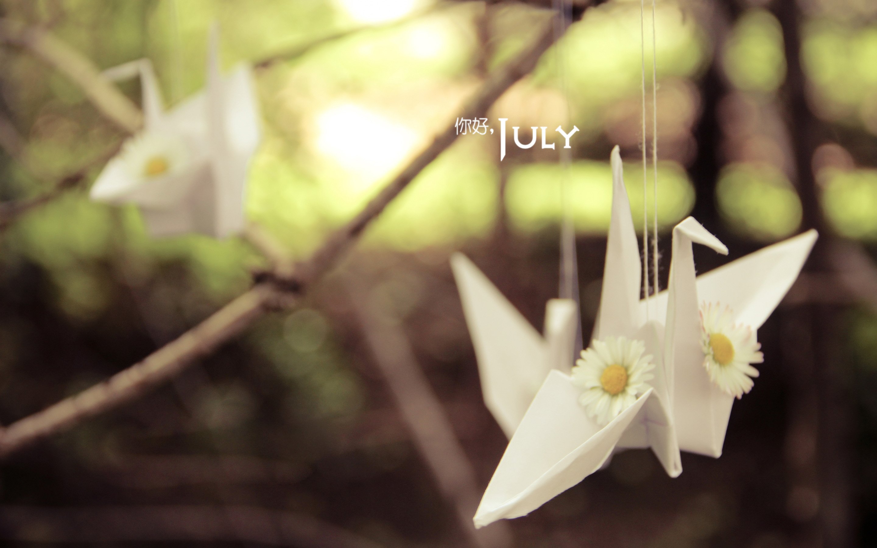 小清新,温暖,安静,七月,你好