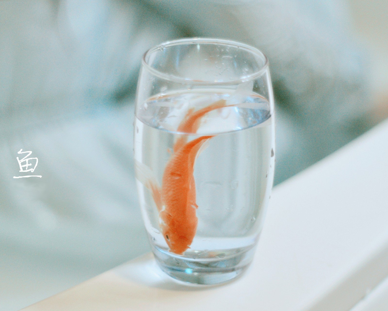 小清新,唯美,静物写真,温馨,物语,回忆,气球,美女云朵,幻想,想象