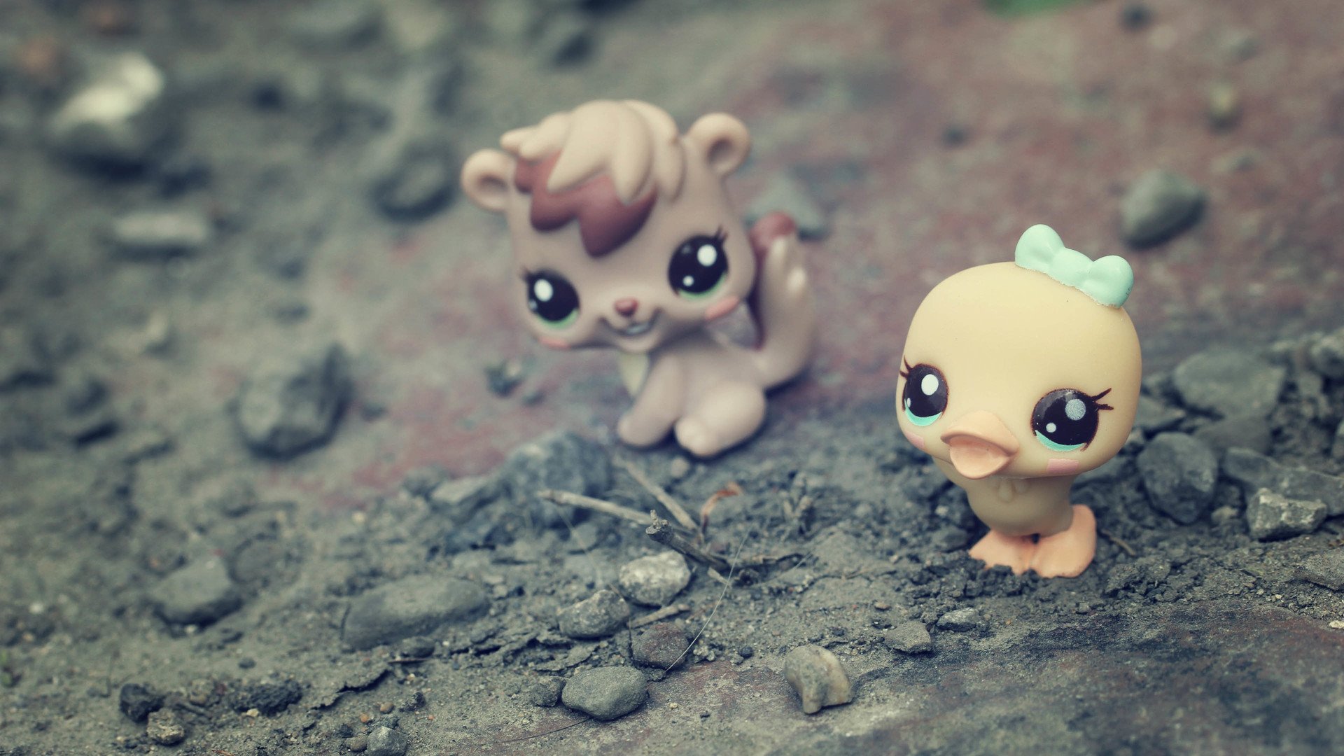 小清新,唯美,静物写真,物语,孤单,等待,温暖,安静