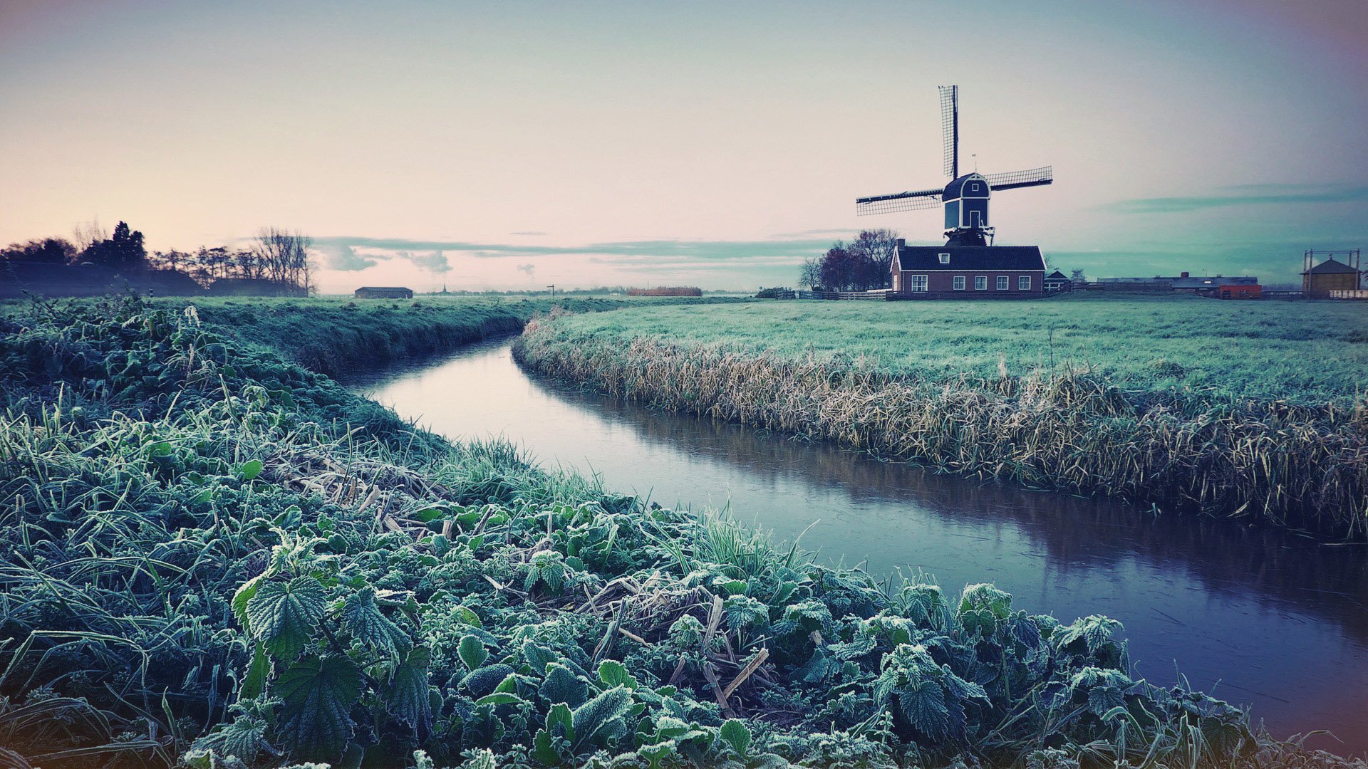 风景,自然风光,风车,唯美,意境,太阳花,向日葵,向阳花